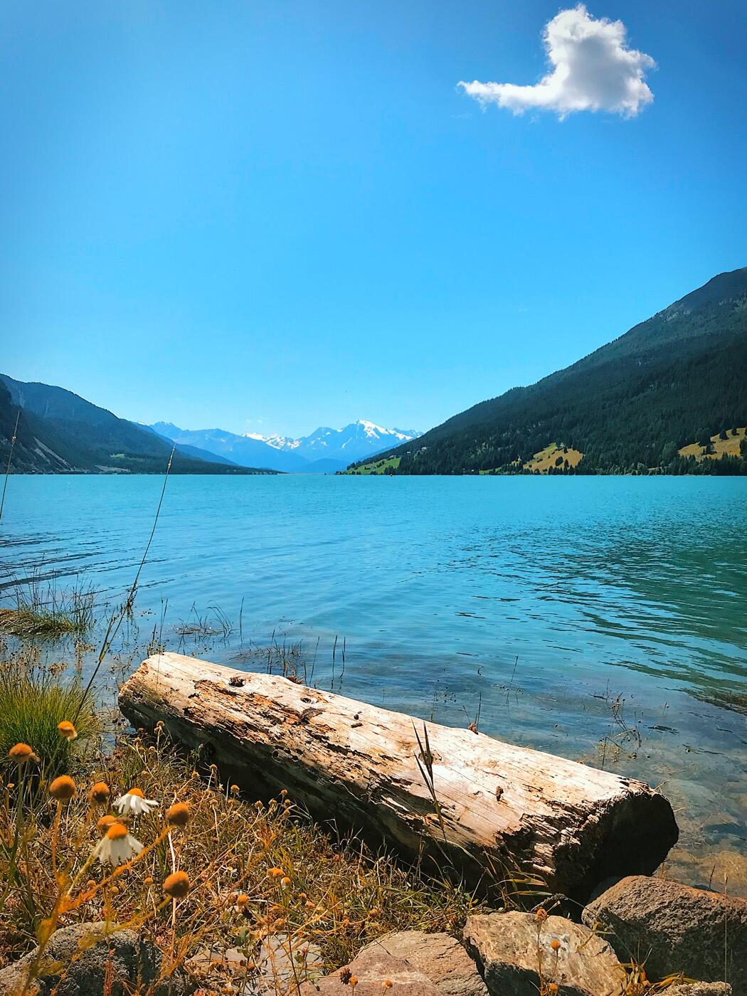 Bild ohne Beschreibung Bild ohne Beschreibung