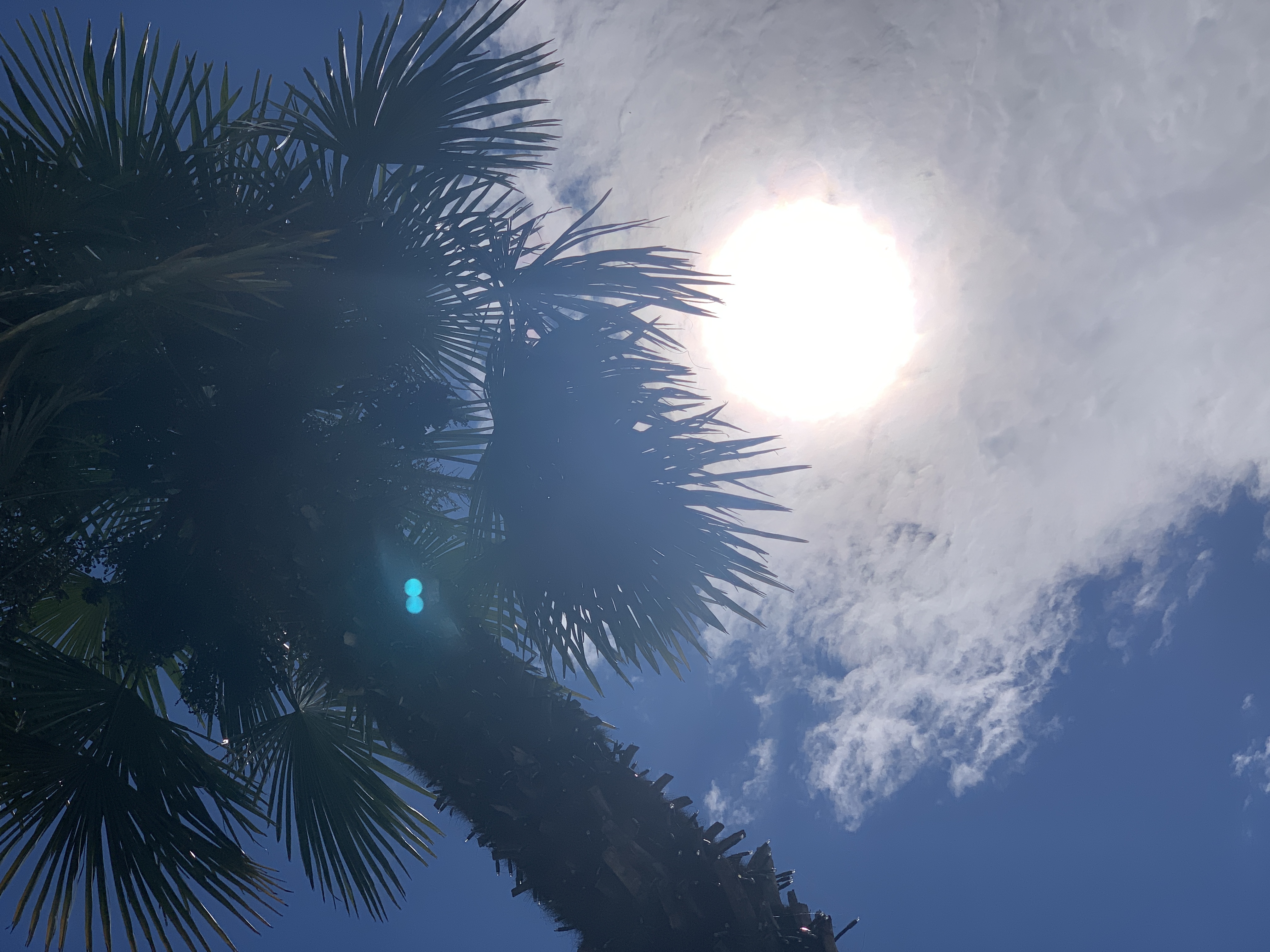 Bild ohne Beschreibung