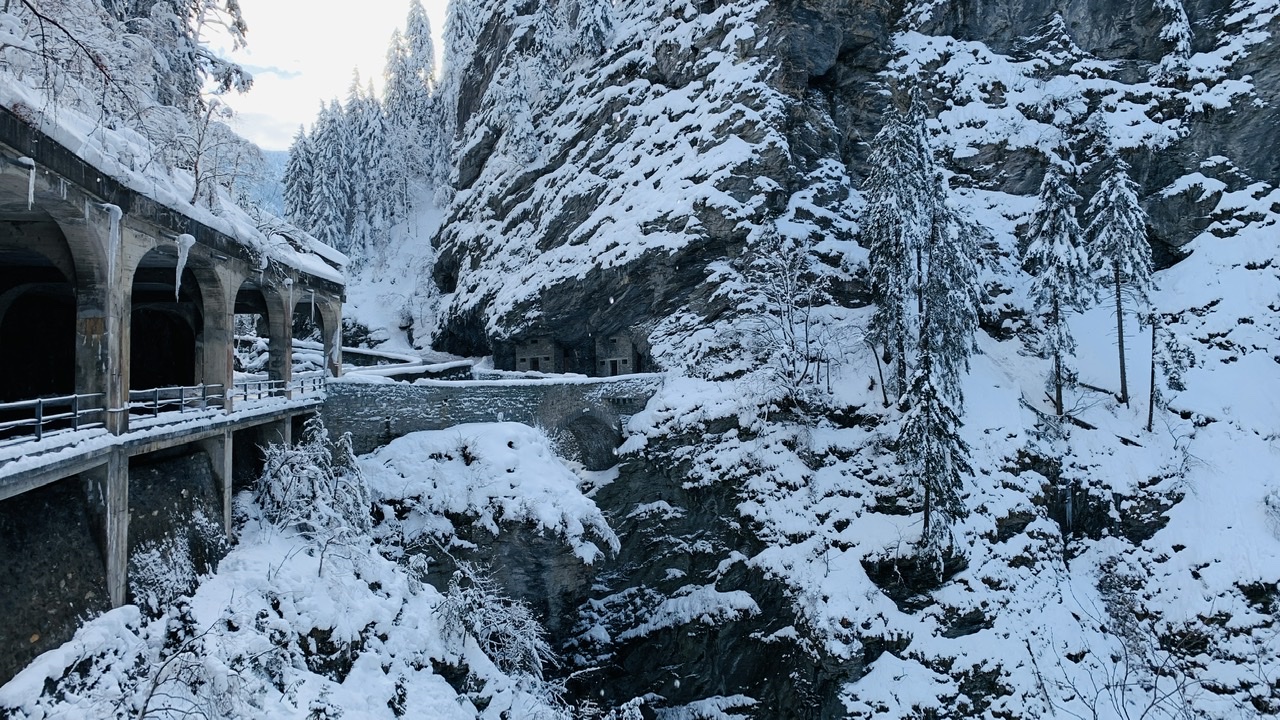 Bild ohne Beschreibung