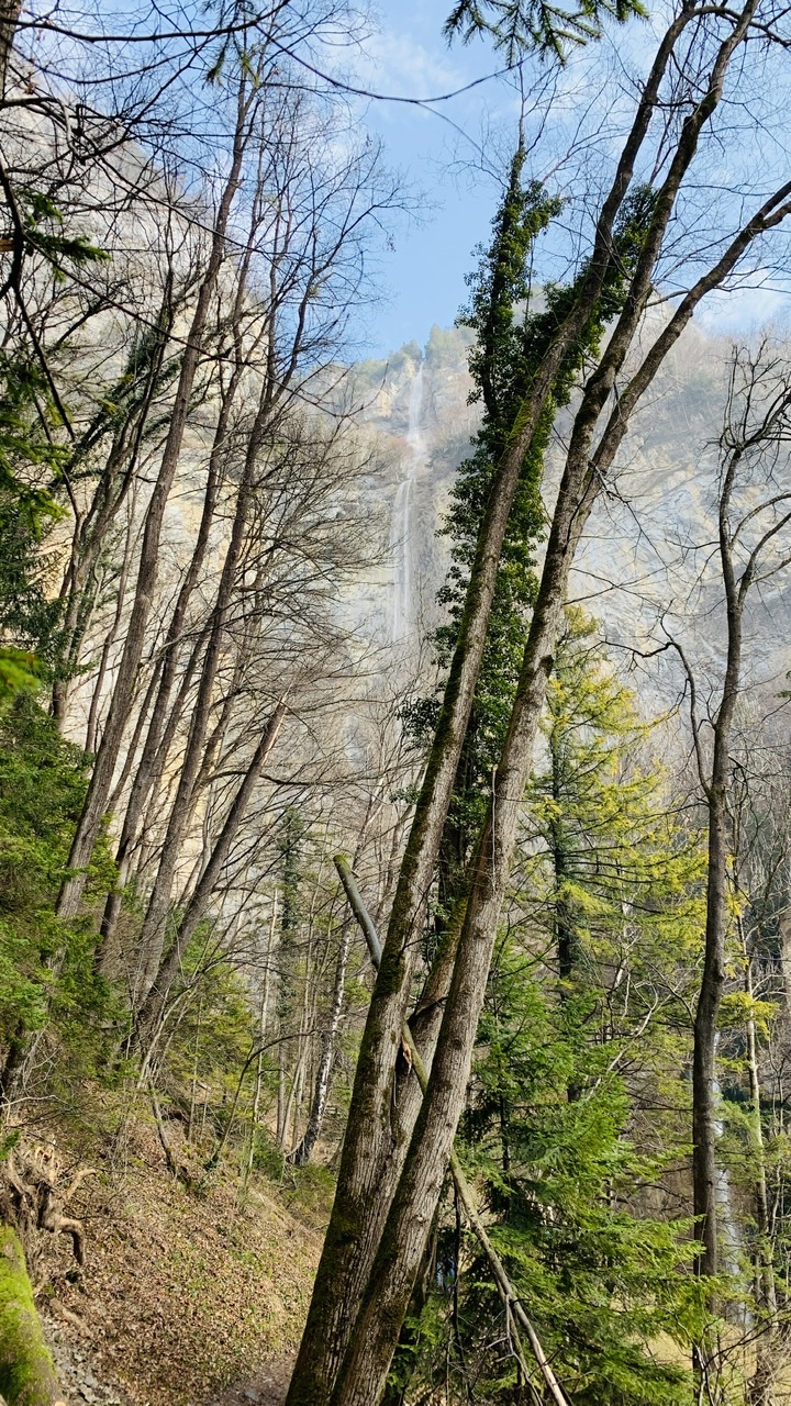Bild ohne Beschreibung Bild ohne Beschreibung