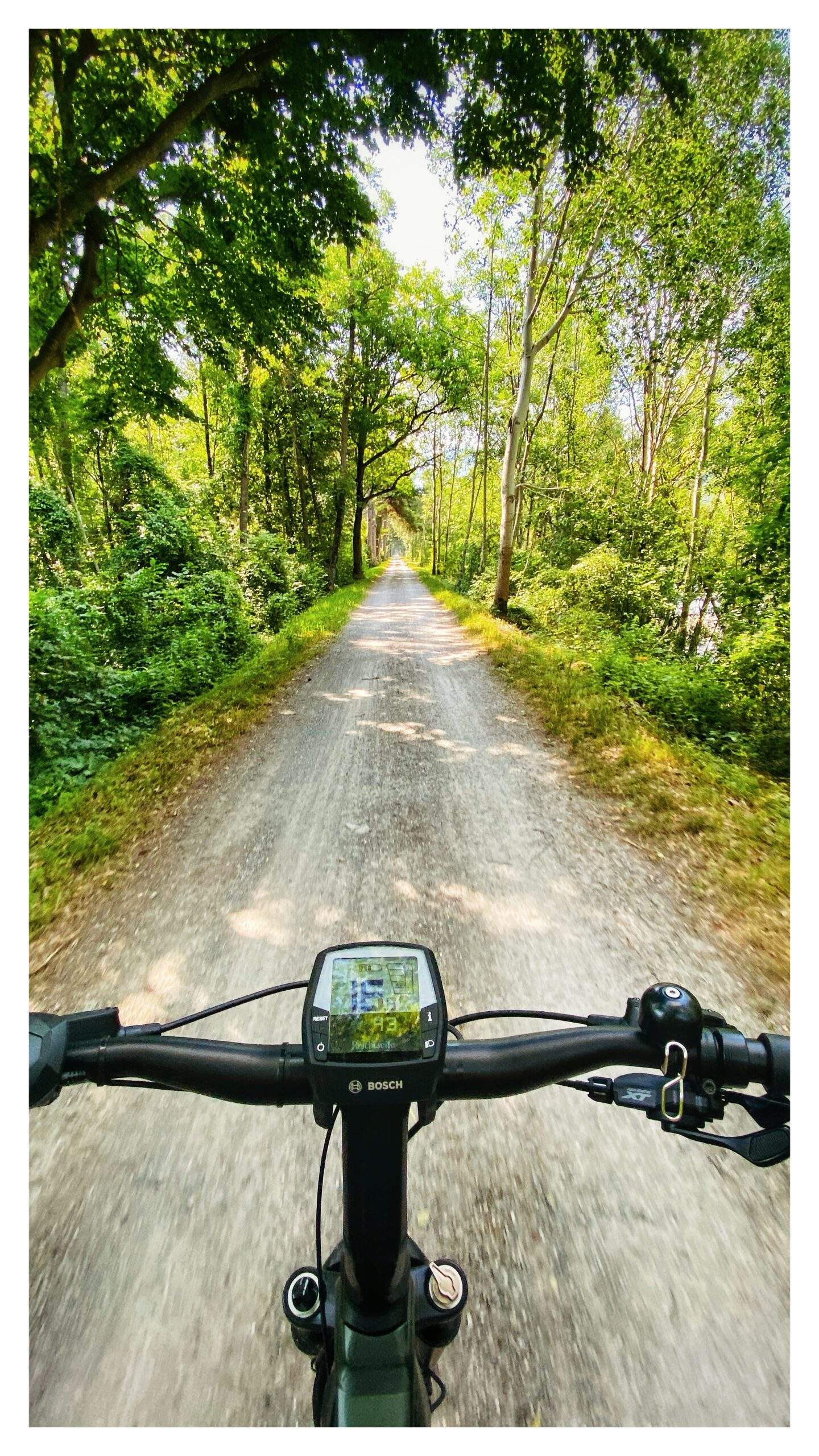 Bild ohne Beschreibung