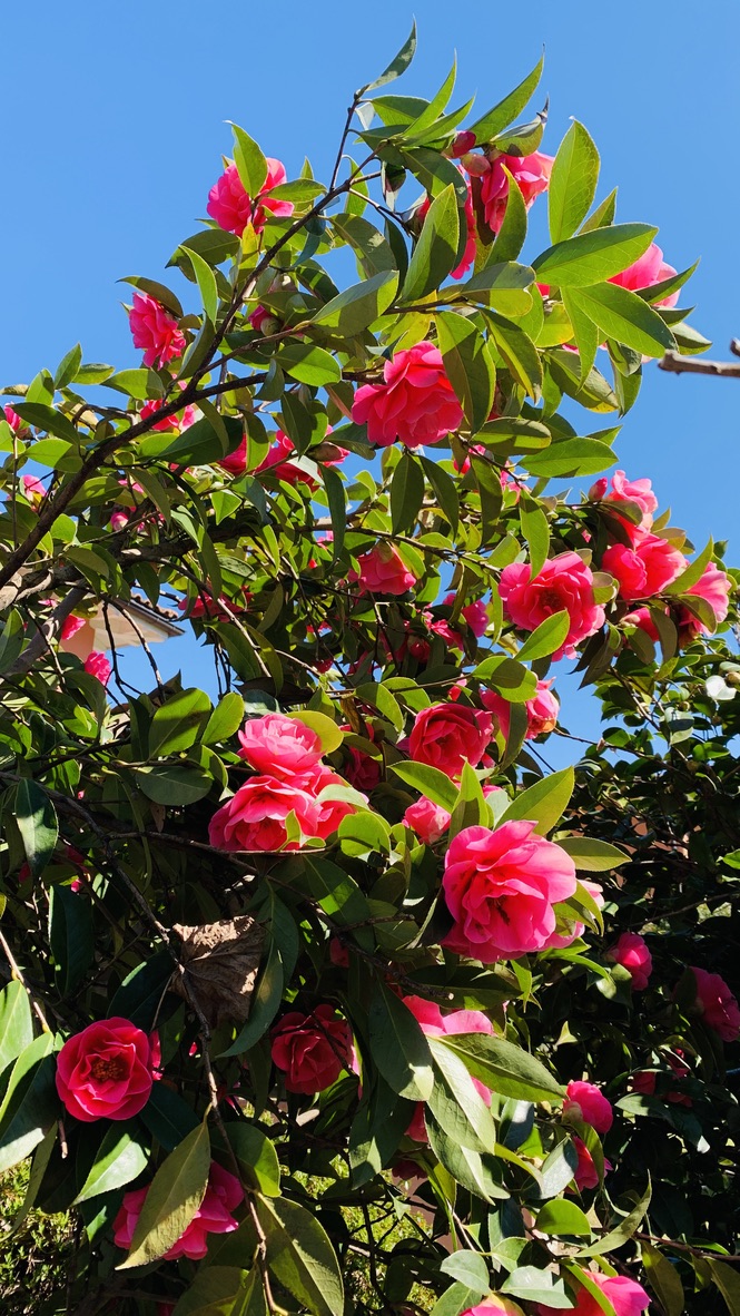 Bild ohne Beschreibung