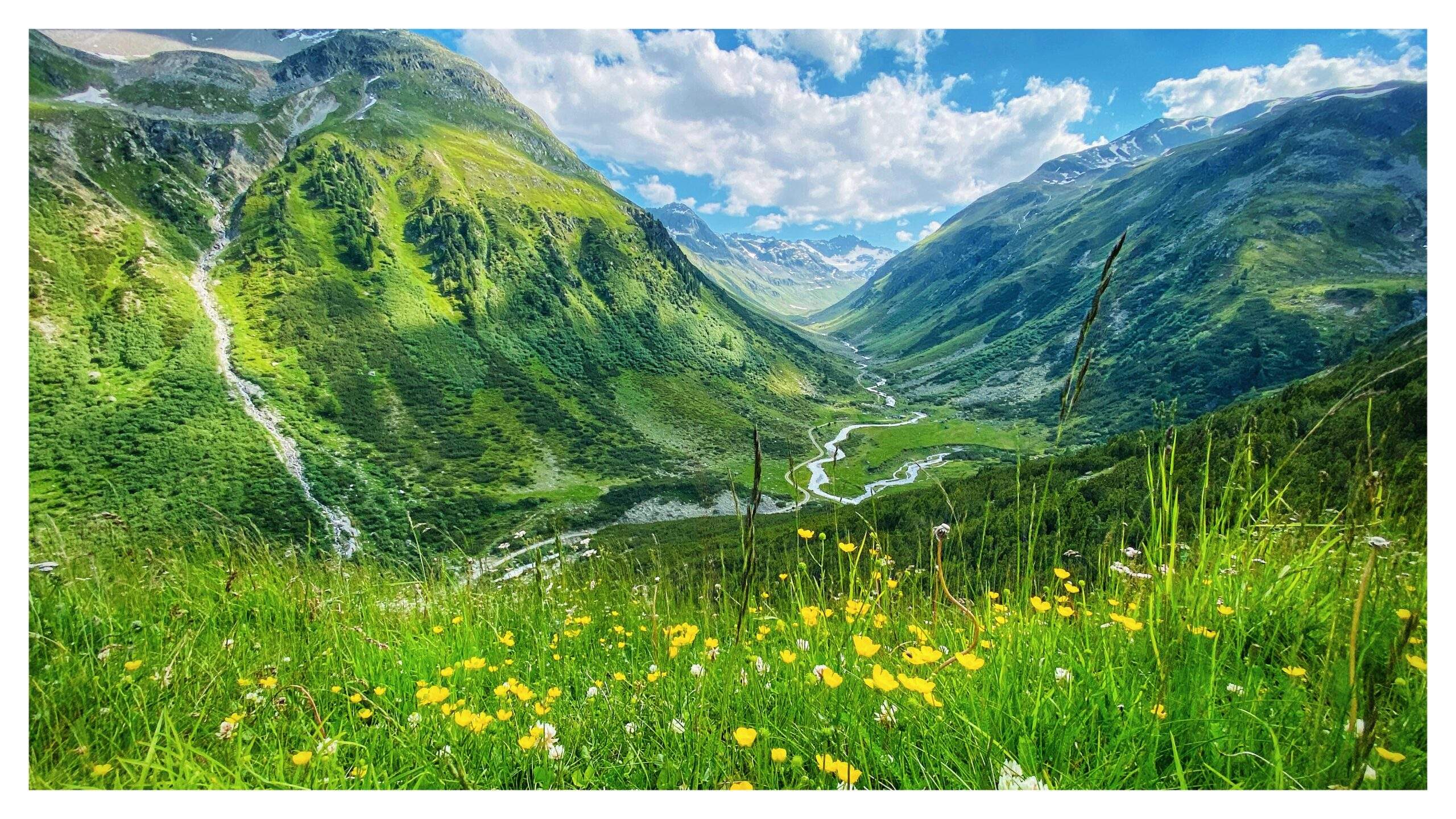 Bild ohne Beschreibung