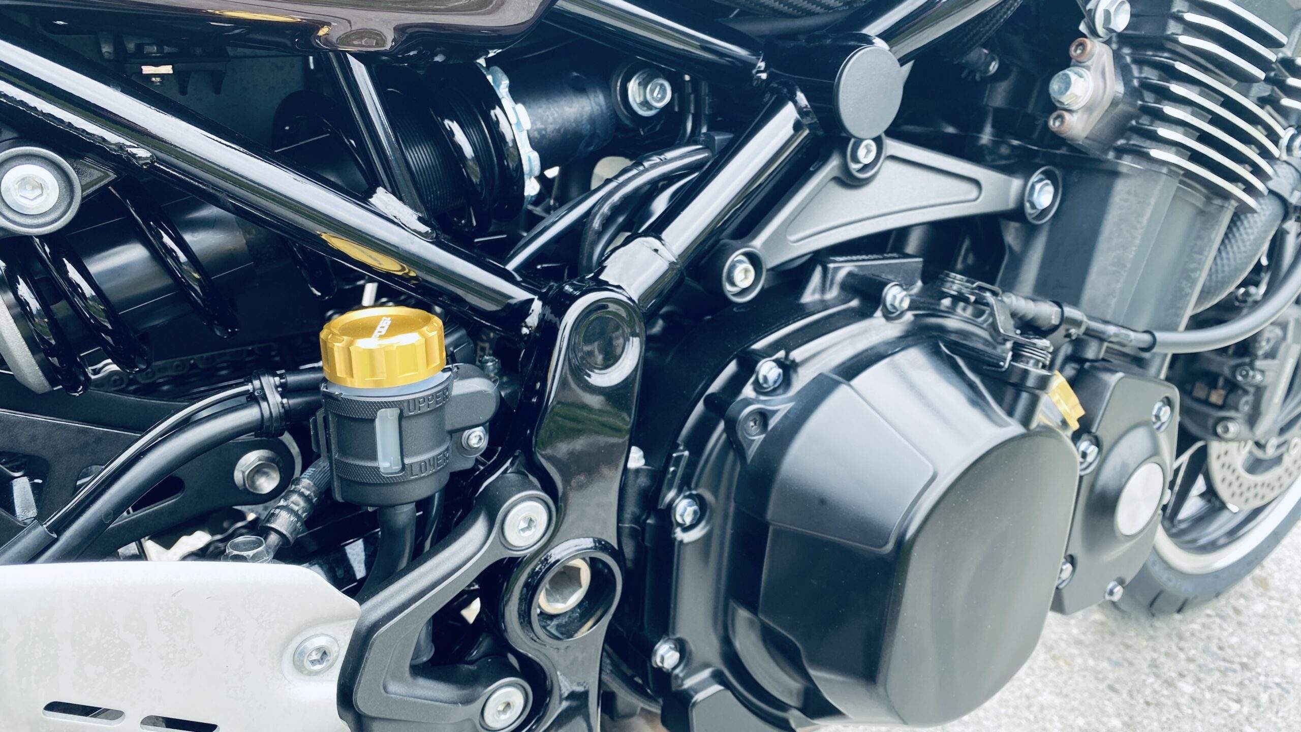 Bild ohne Beschreibung