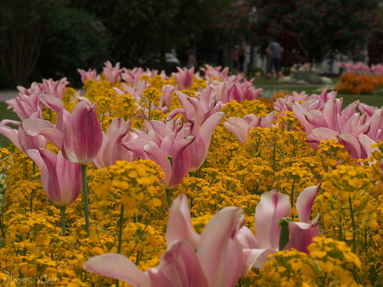 Bild ohne Beschreibung