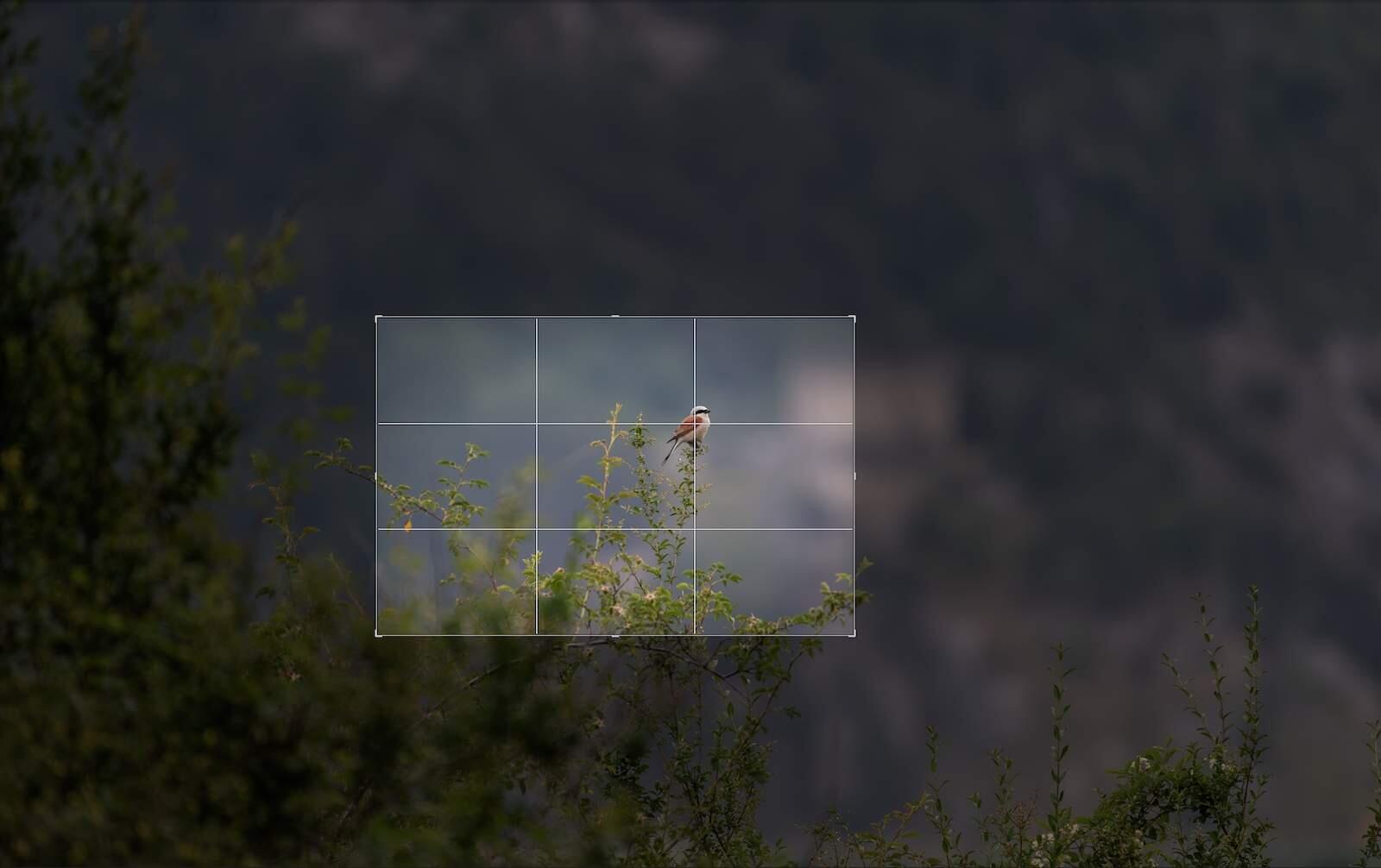 Bild ohne Beschreibung