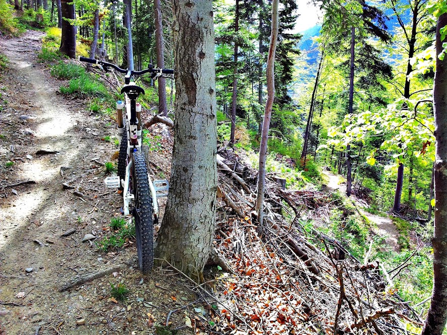 Bild ohne Beschreibung Bild ohne Beschreibung