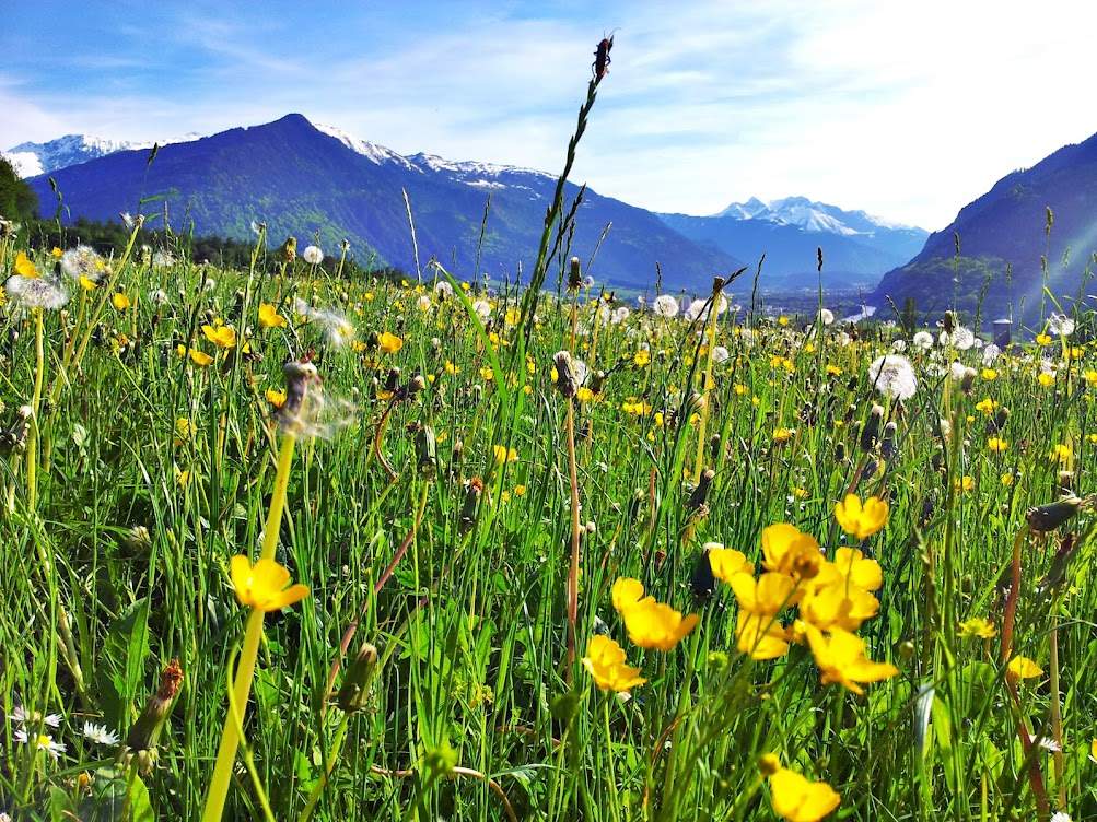 Bild ohne Beschreibung