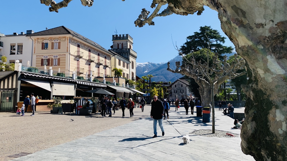 Bild ohne Beschreibung