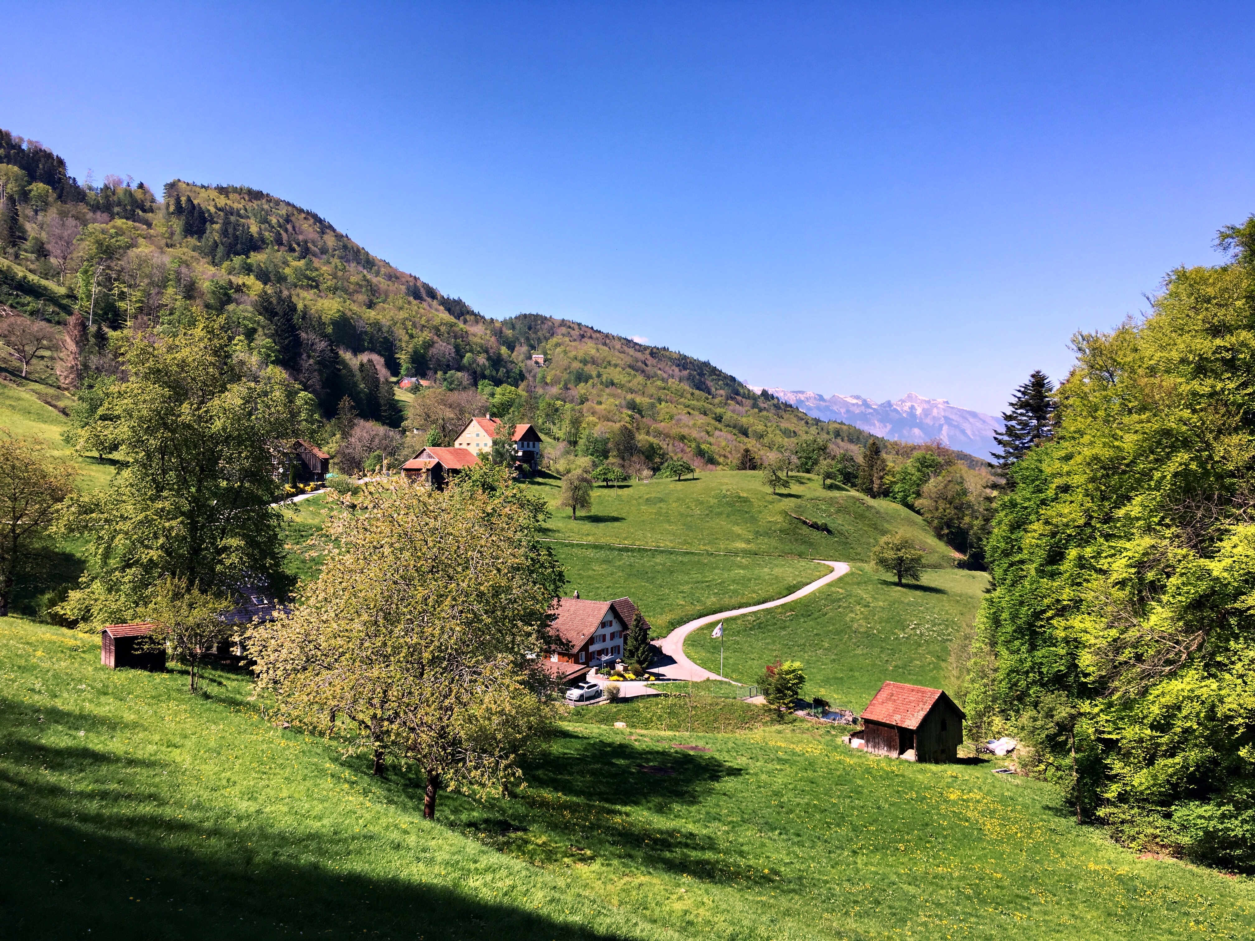 Bild ohne Beschreibung