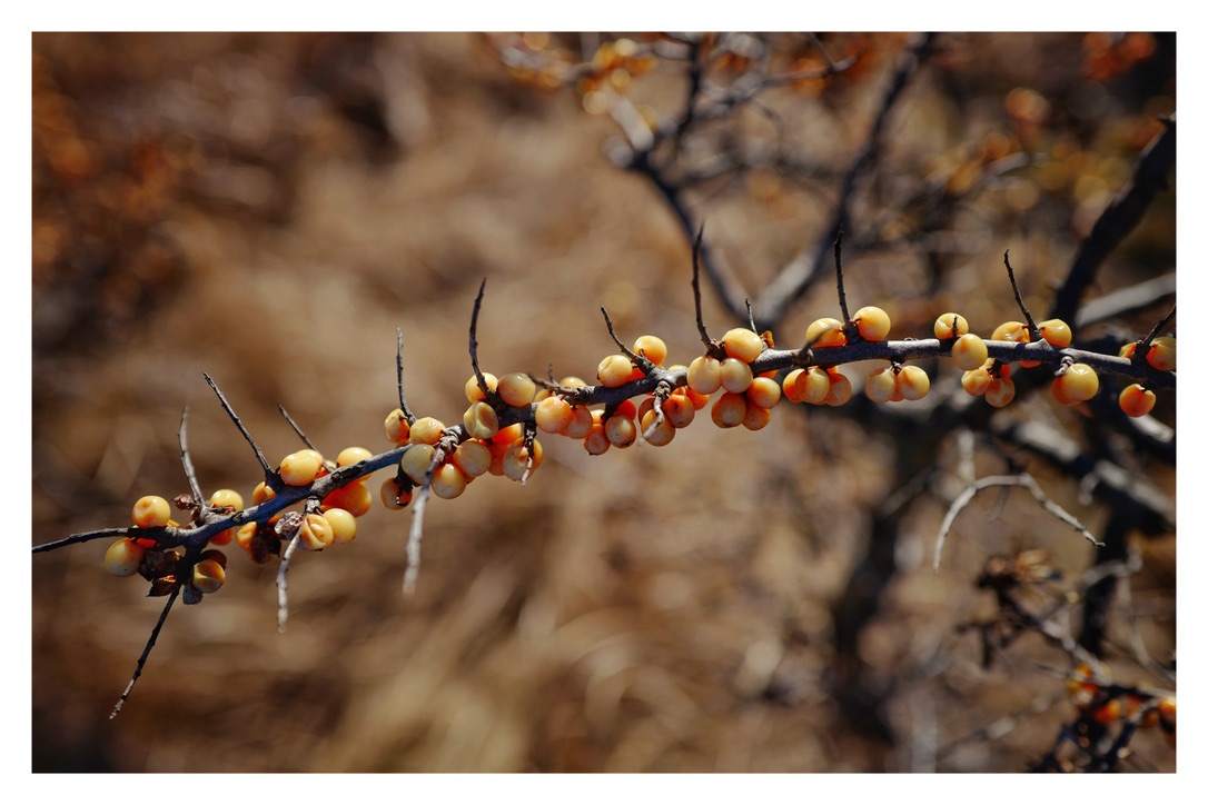 Bild ohne Beschreibung Bild ohne Beschreibung