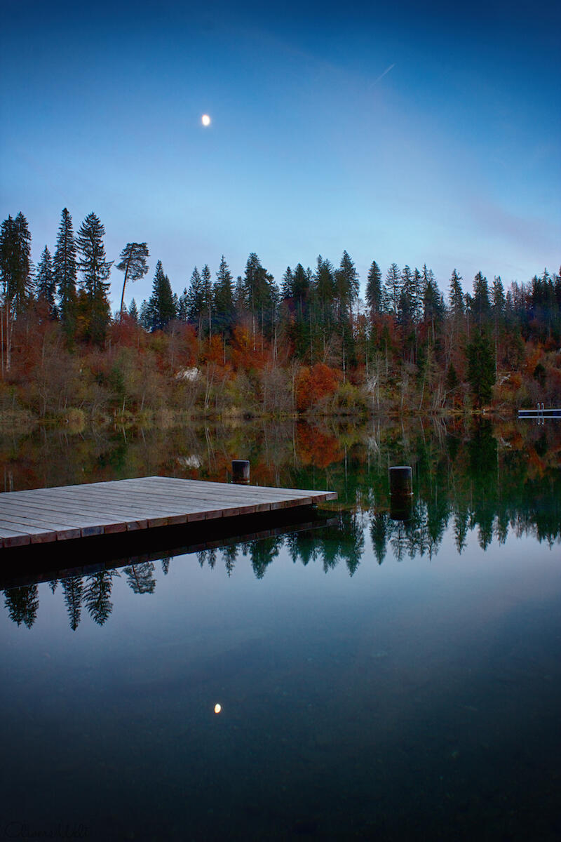 Bild ohne Beschreibung