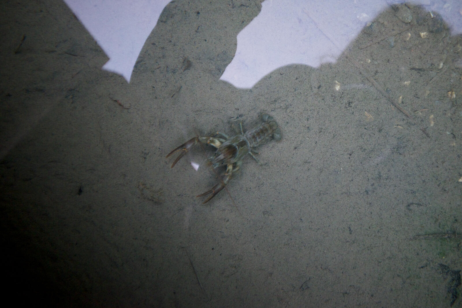 Bild ohne Beschreibung