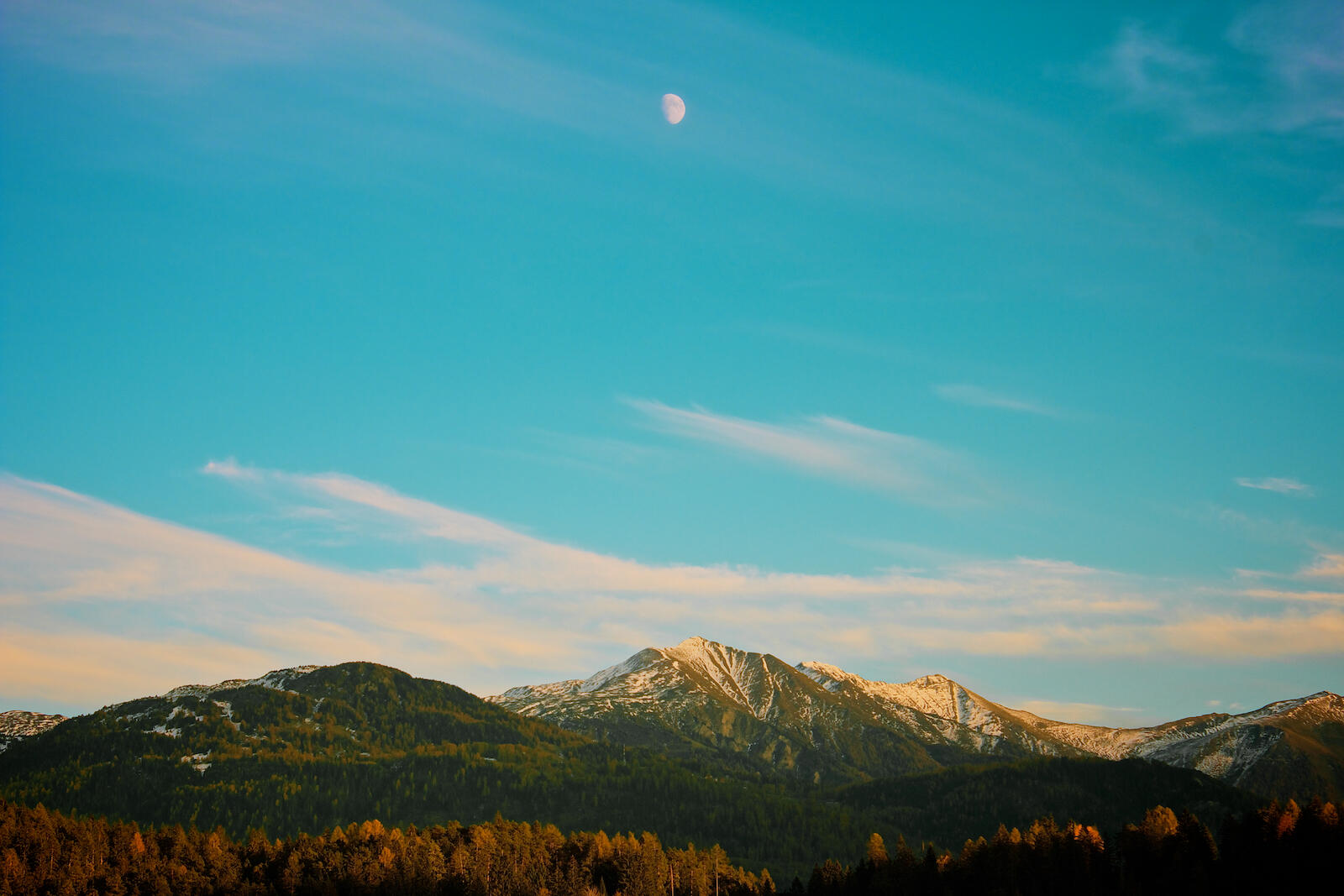 Bild ohne Beschreibung