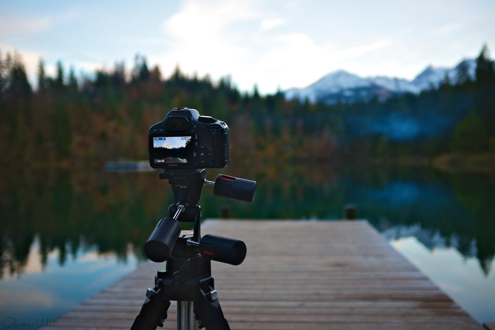 Bild ohne Beschreibung