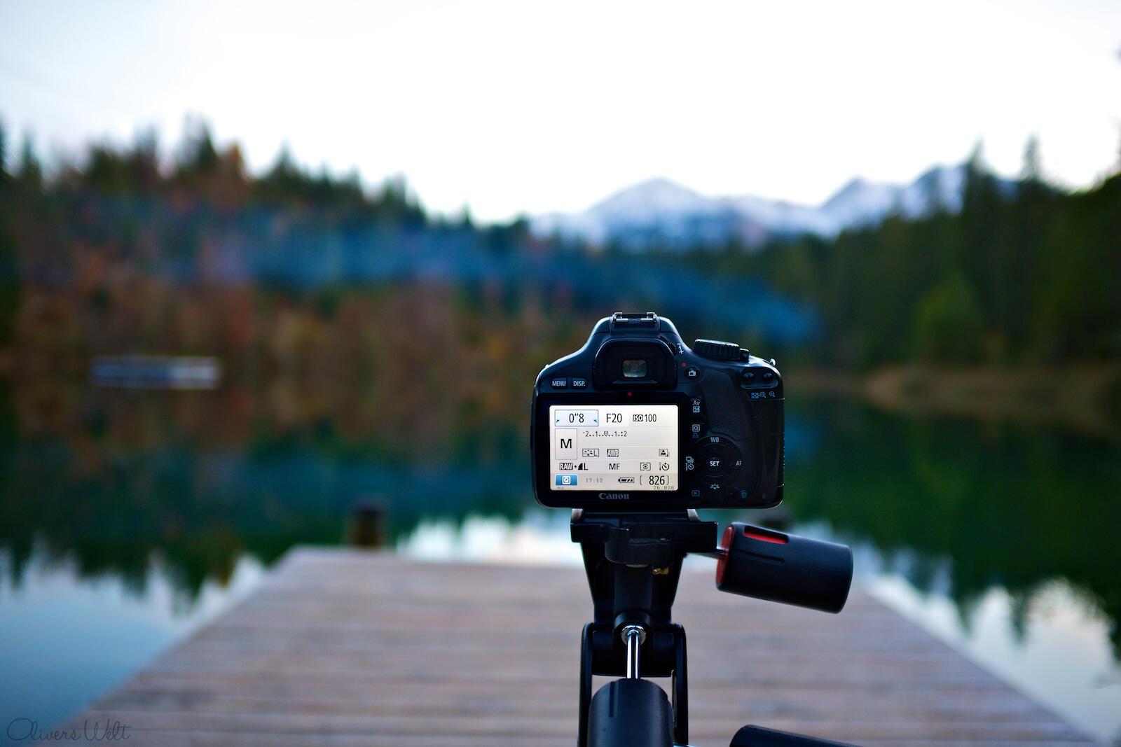 Bild ohne Beschreibung