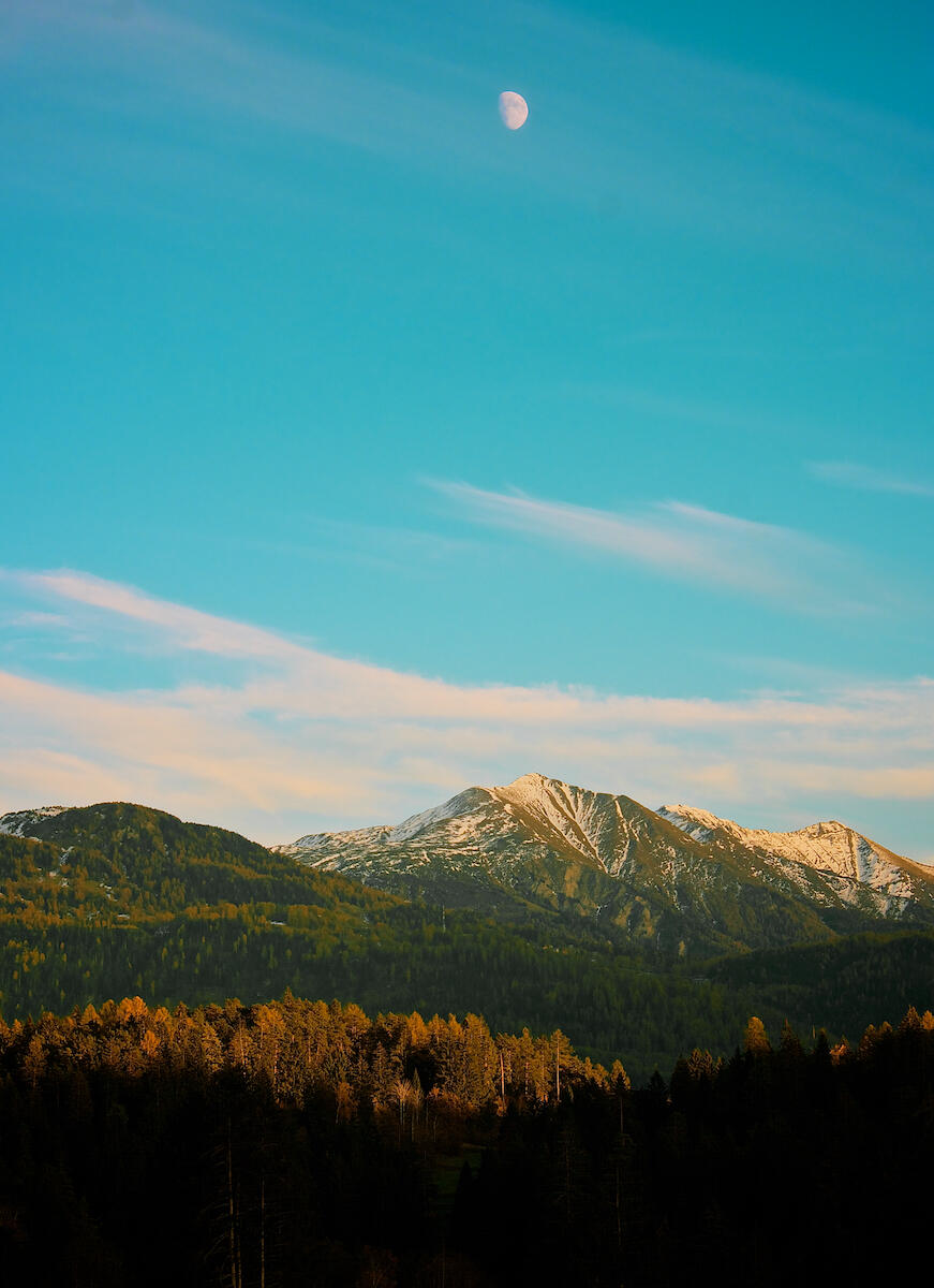 Bild ohne Beschreibung