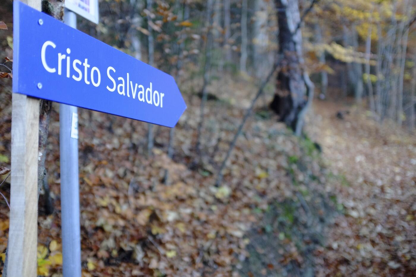 Cristo-Salvador-Jesus-Bad-Ragaz-Bad-Ragartz-Schweiz 4