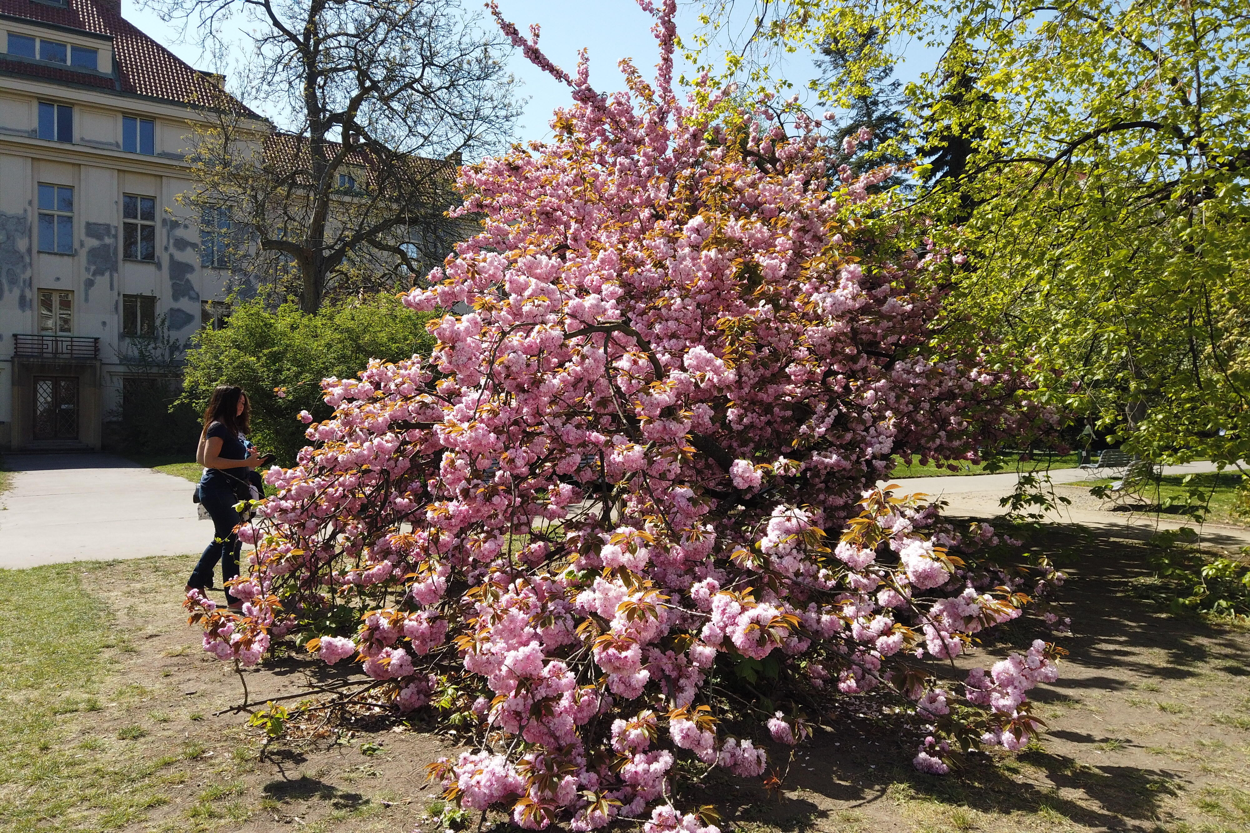 Bild ohne Beschreibung