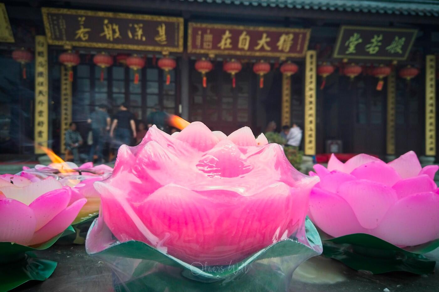 Bild ohne Beschreibung