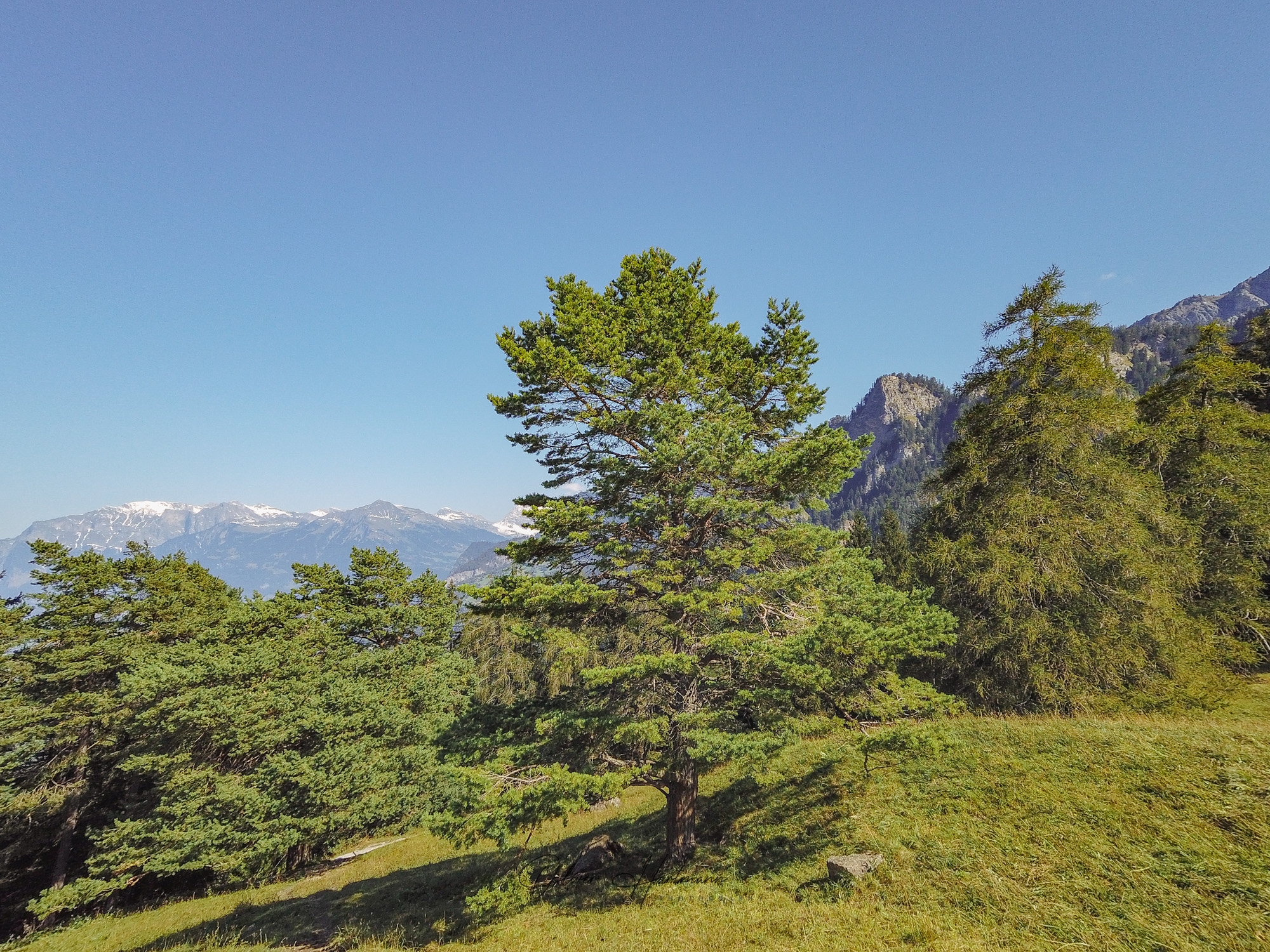 Bild ohne Beschreibung Bild ohne Beschreibung