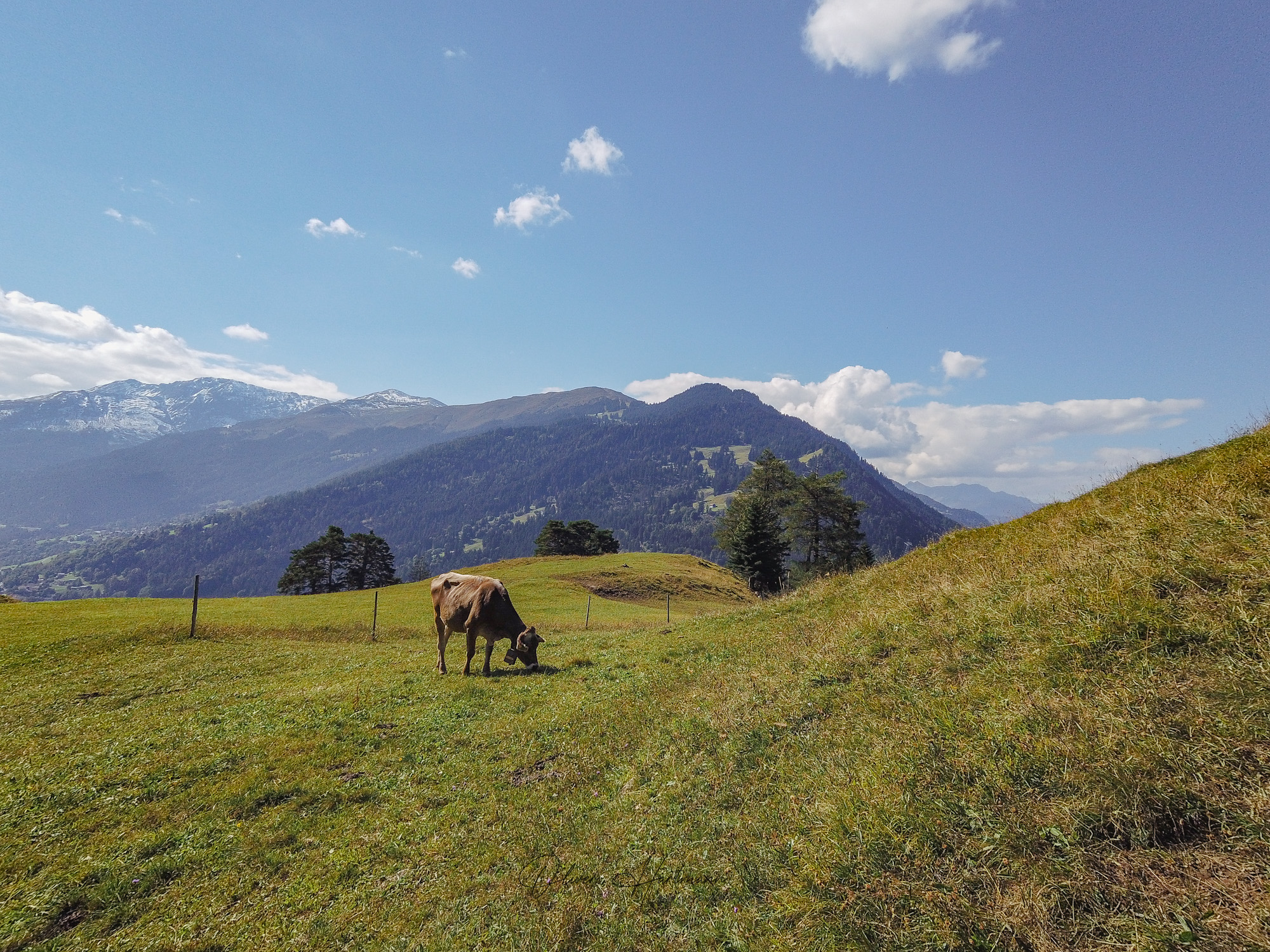 Bild ohne Beschreibung Bild ohne Beschreibung