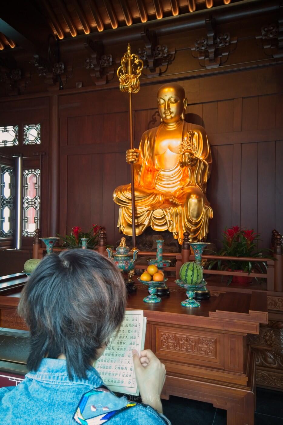 Bild ohne Beschreibung