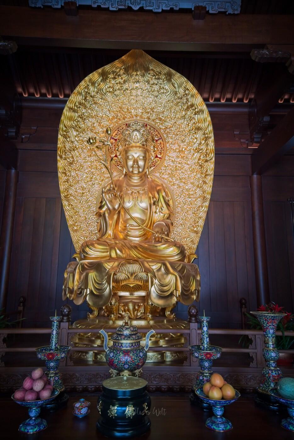 Bild ohne Beschreibung