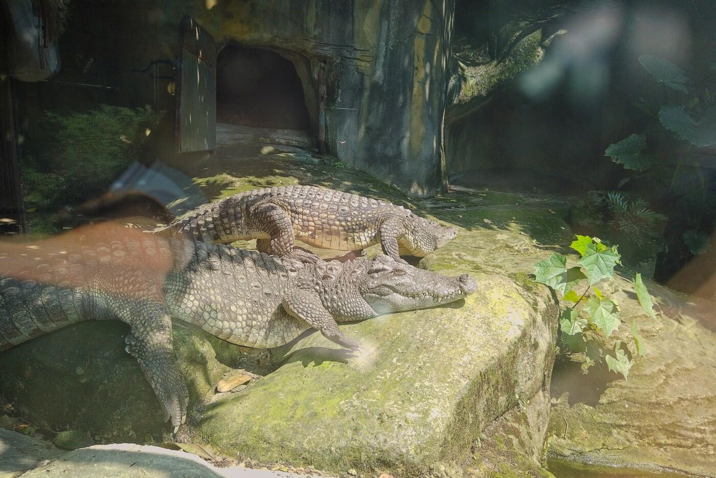 Bild ohne Beschreibung Bild ohne Beschreibung