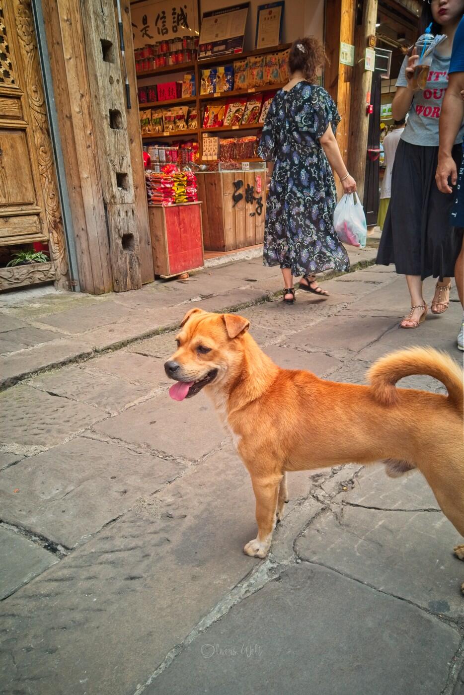 Bild ohne Beschreibung Bild ohne Beschreibung