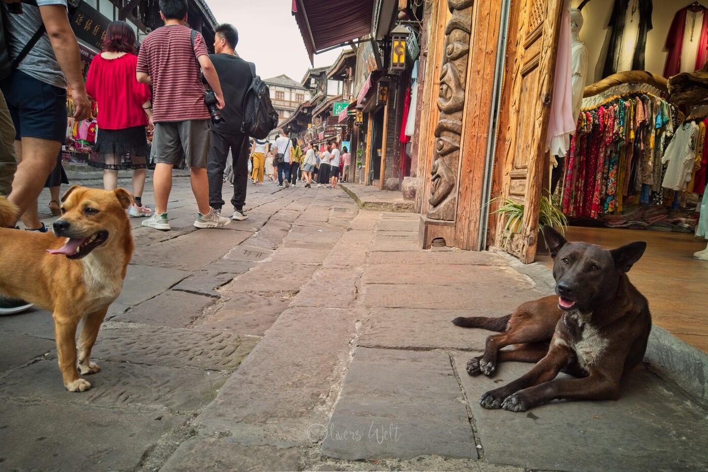 Bild ohne Beschreibung Bild ohne Beschreibung