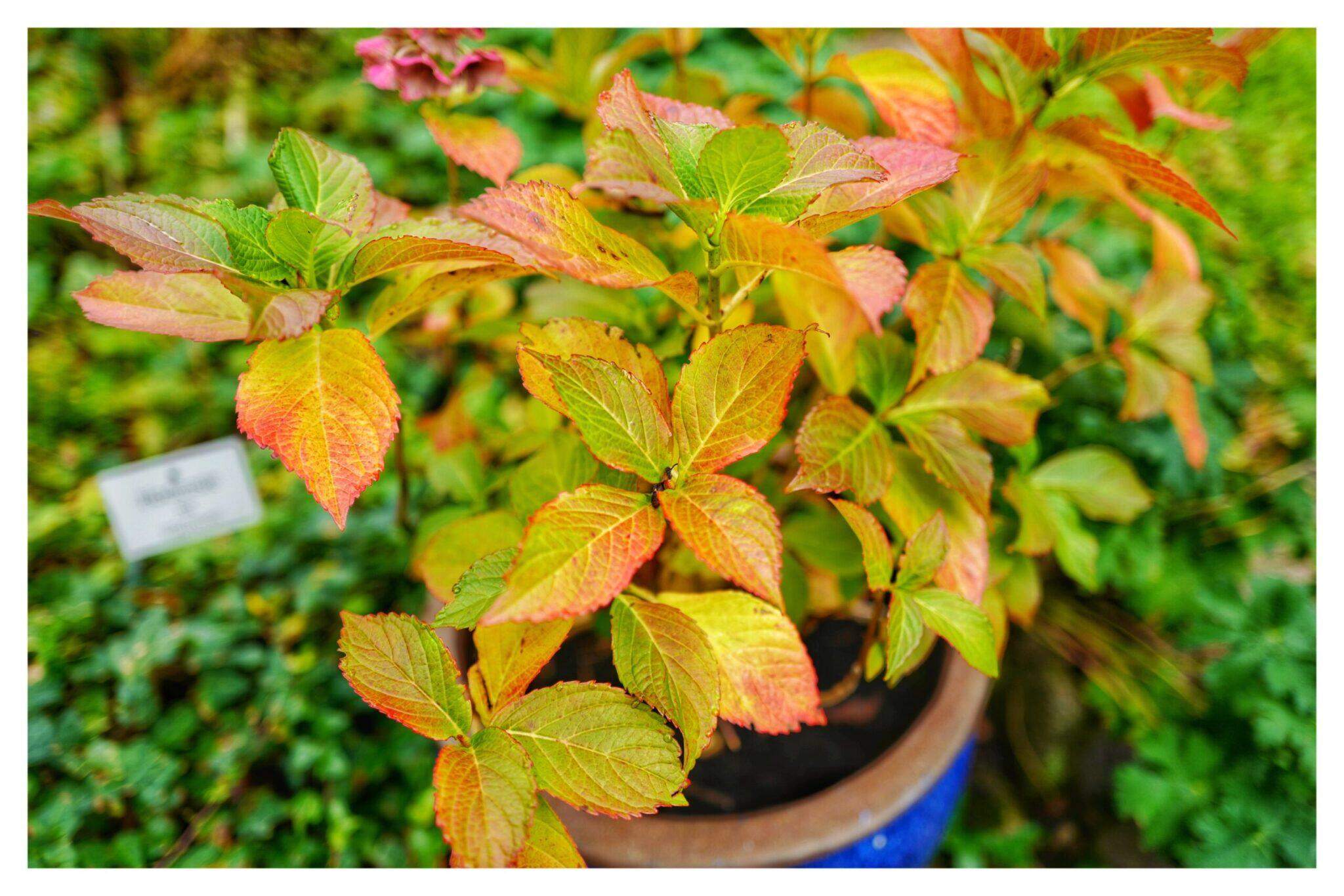 Bild ohne Beschreibung