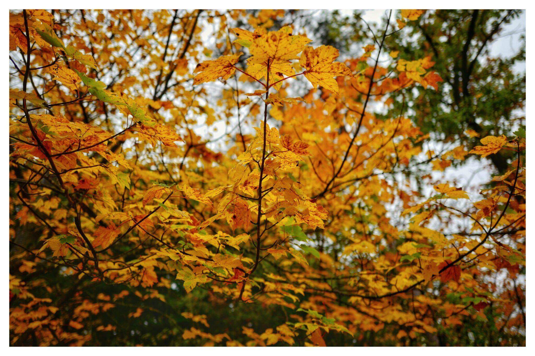 Bild ohne Beschreibung