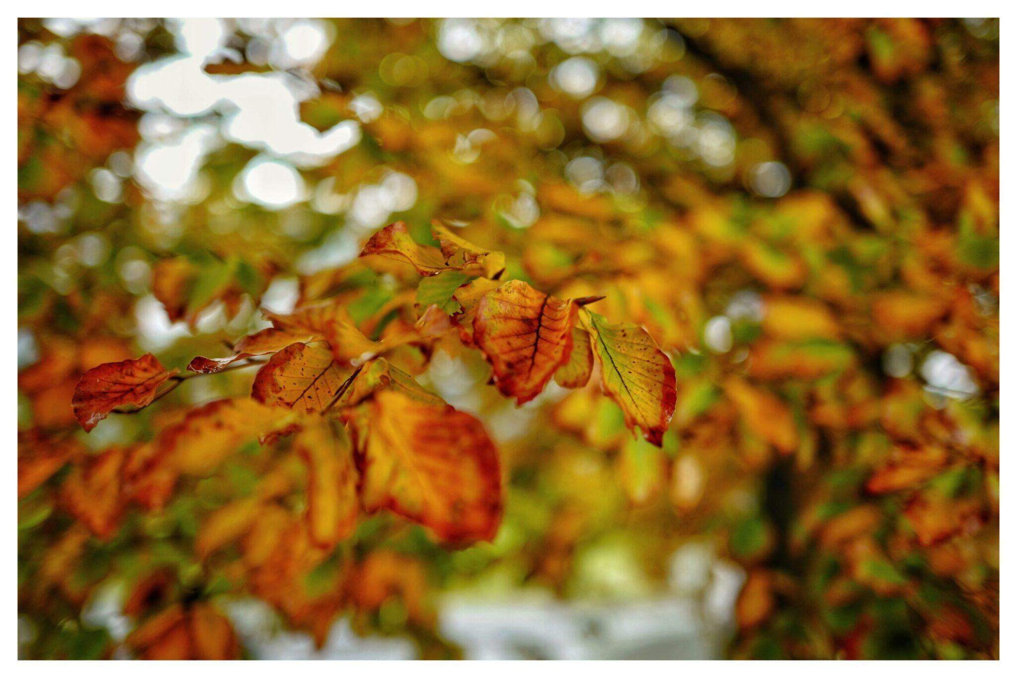 Bild ohne Beschreibung