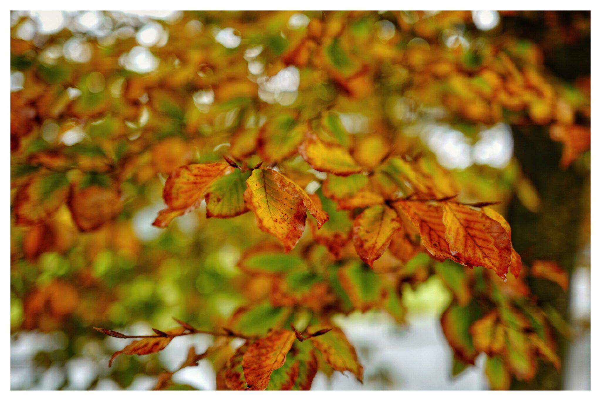 Bild ohne Beschreibung