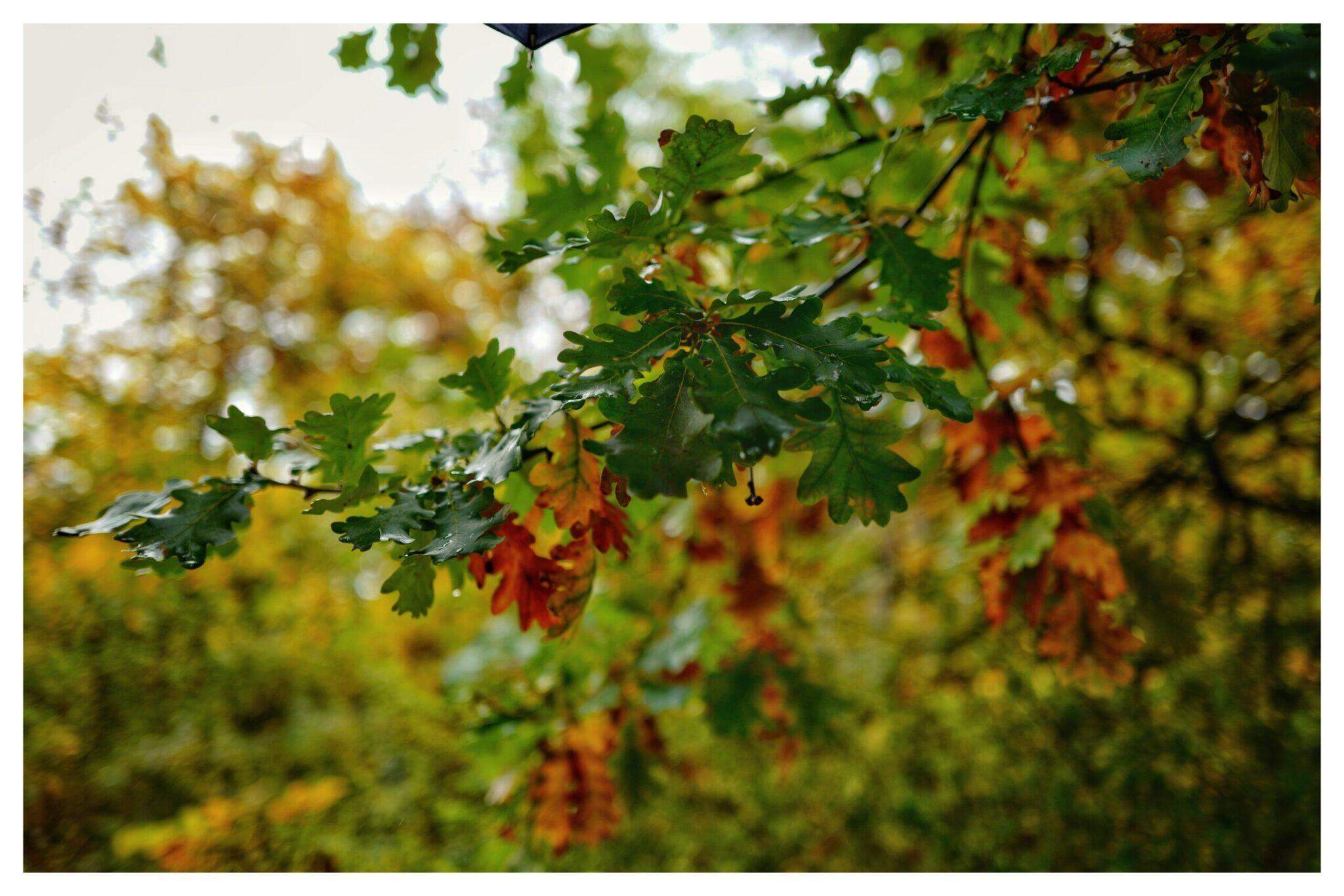 Bild ohne Beschreibung