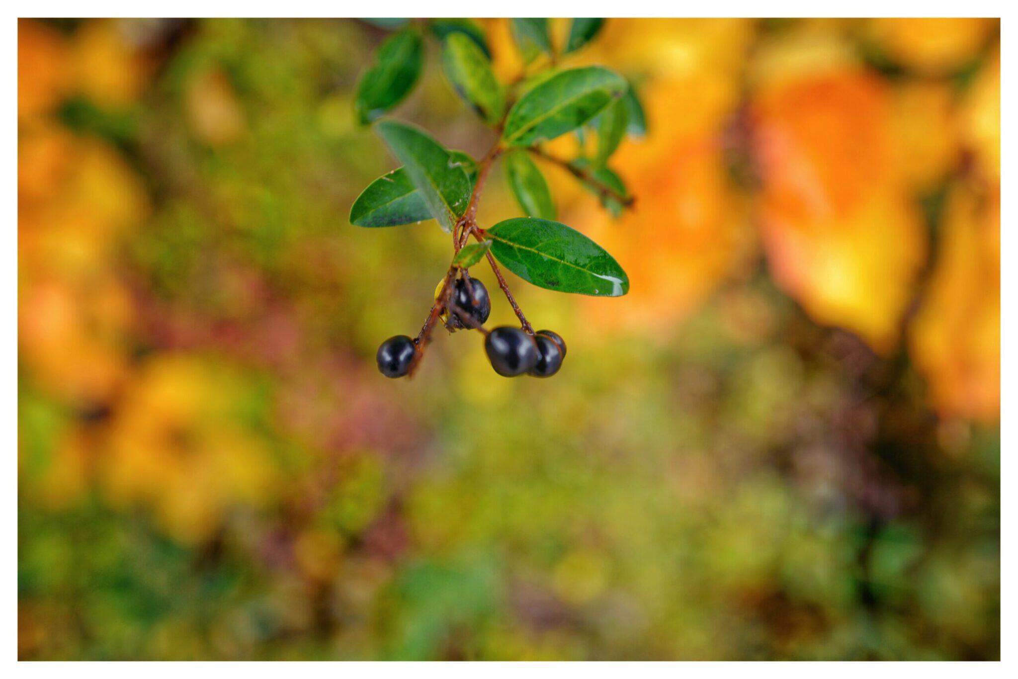 Bild ohne Beschreibung