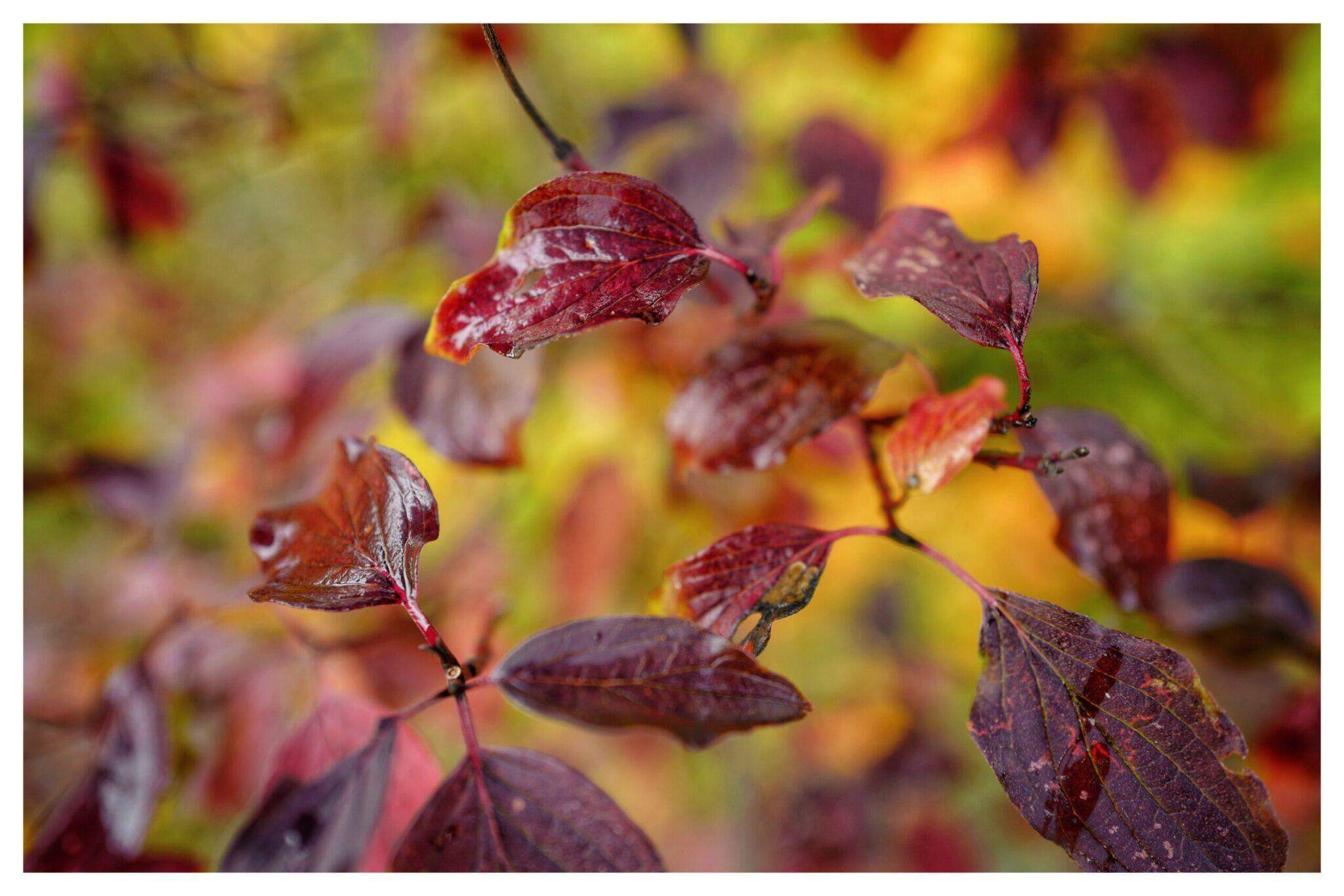 Bild ohne Beschreibung