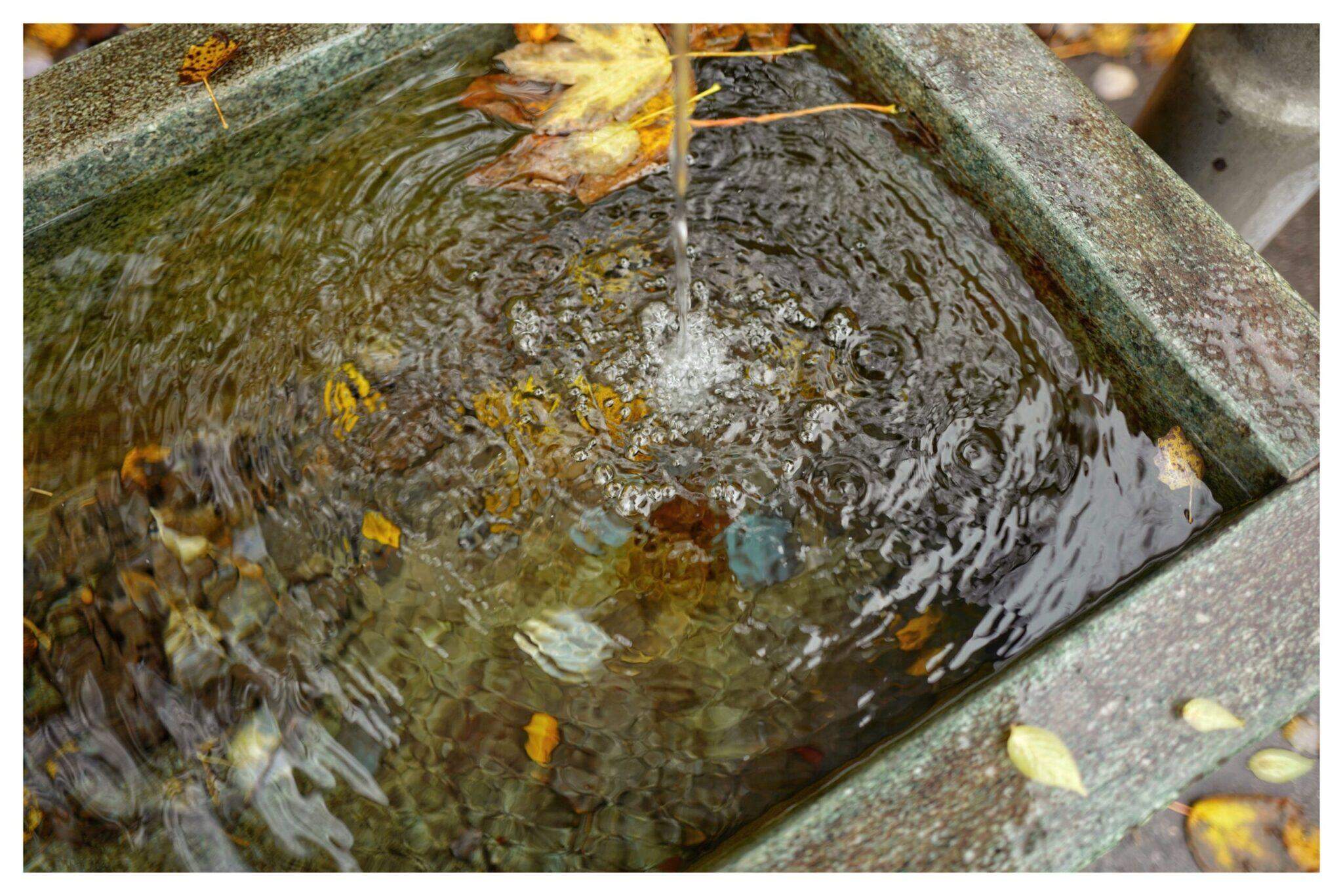 Bild ohne Beschreibung