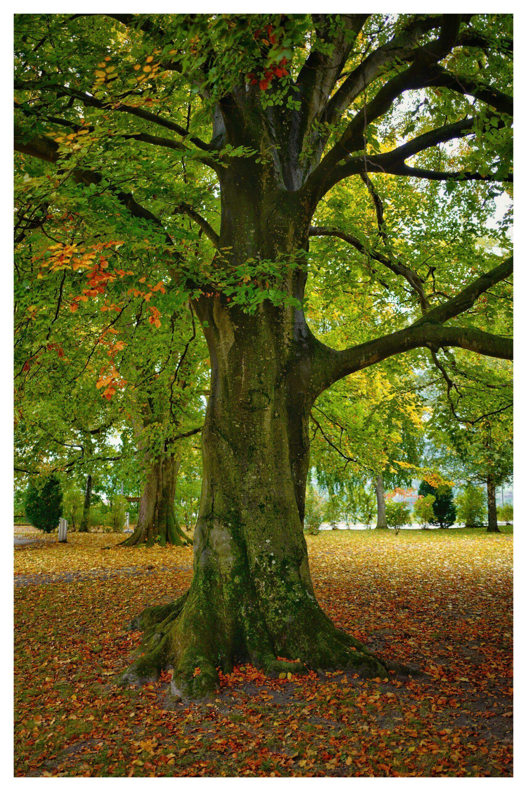 Bild ohne Beschreibung