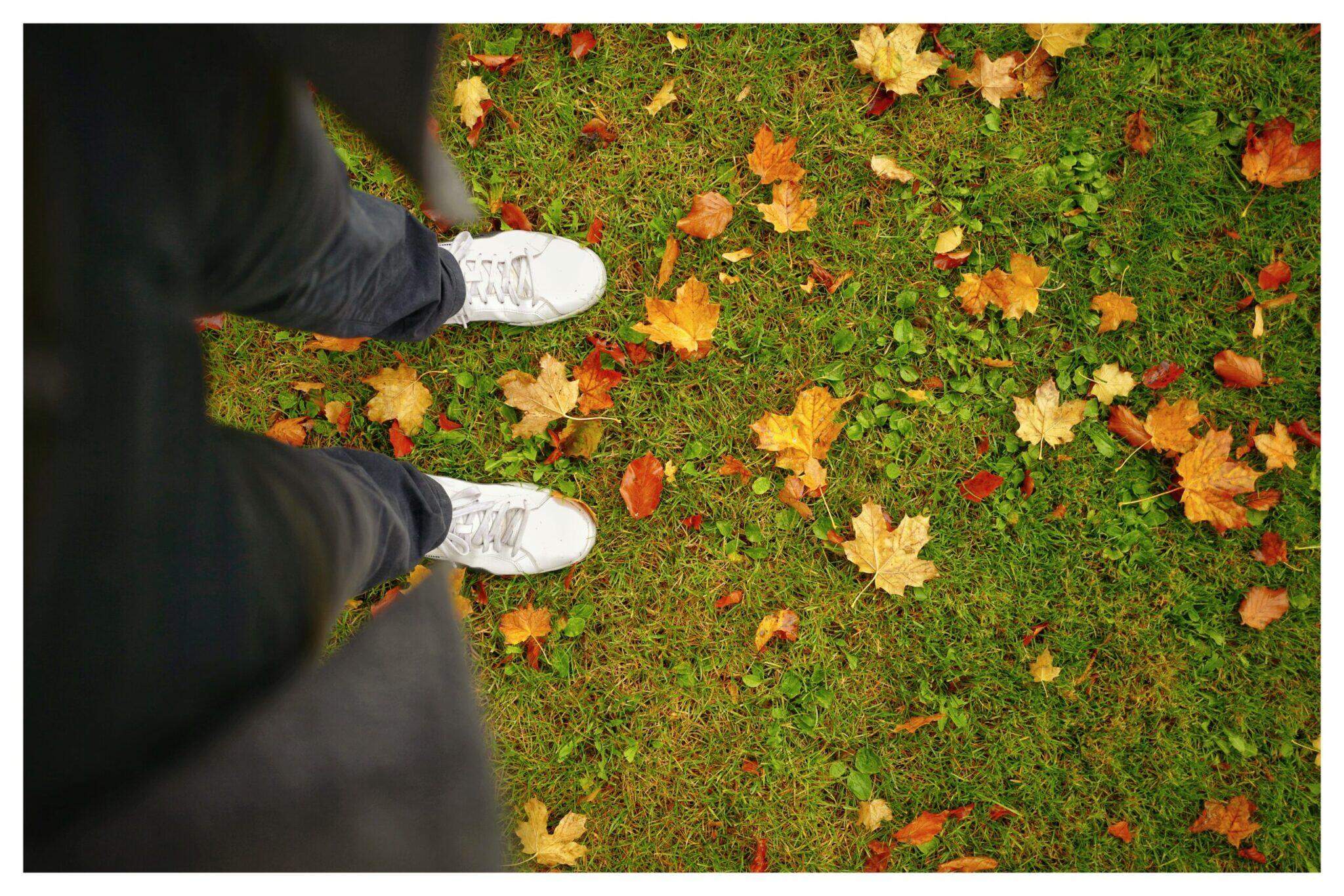 Bild ohne Beschreibung