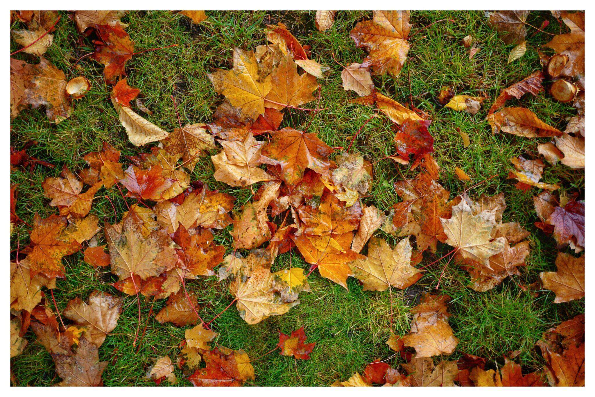 Bild ohne Beschreibung