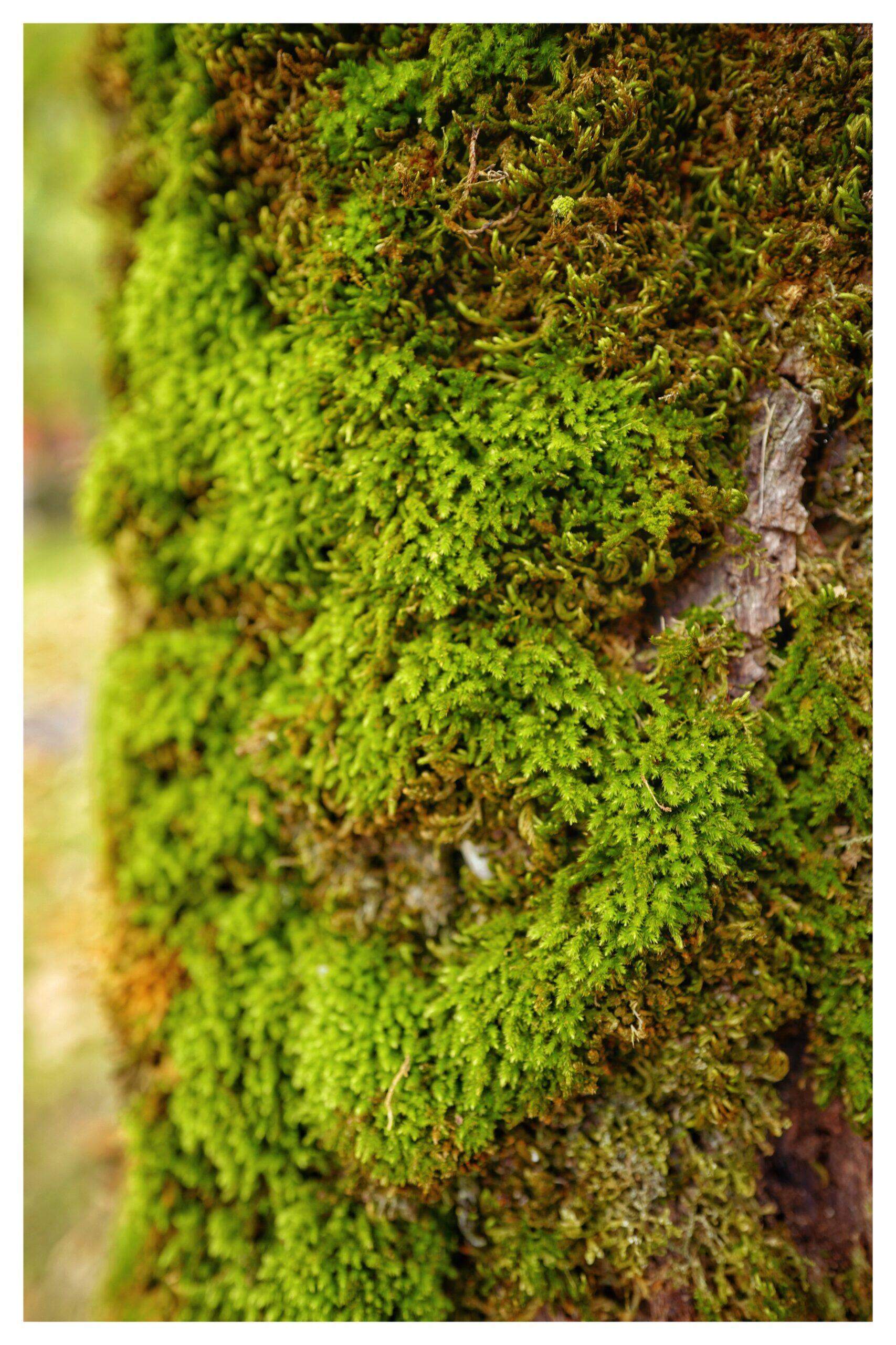 Bild ohne Beschreibung