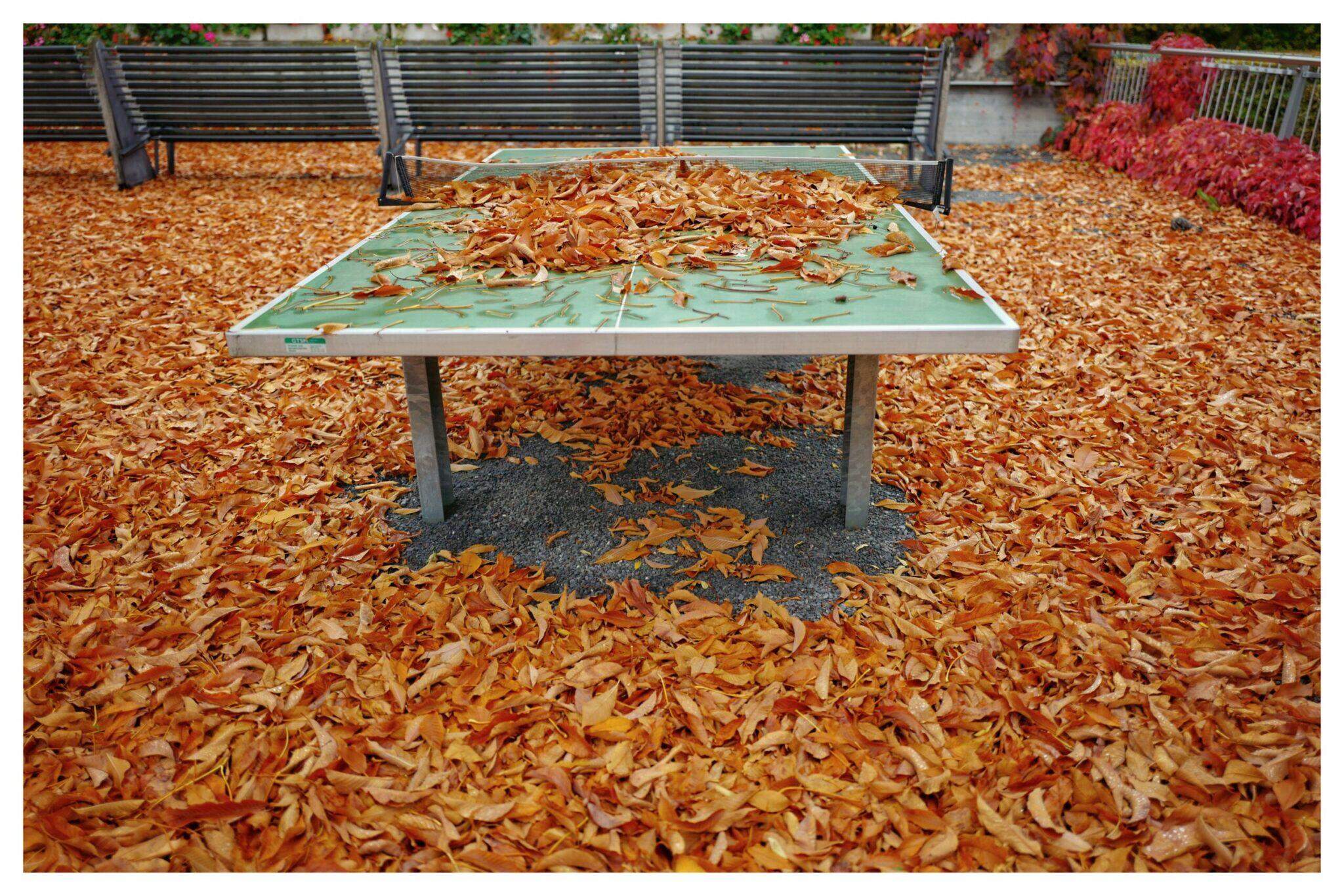 Bild ohne Beschreibung