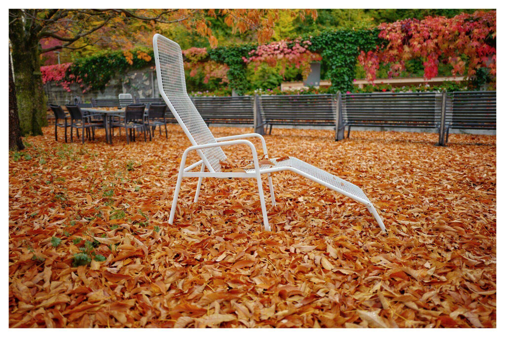 Bild ohne Beschreibung