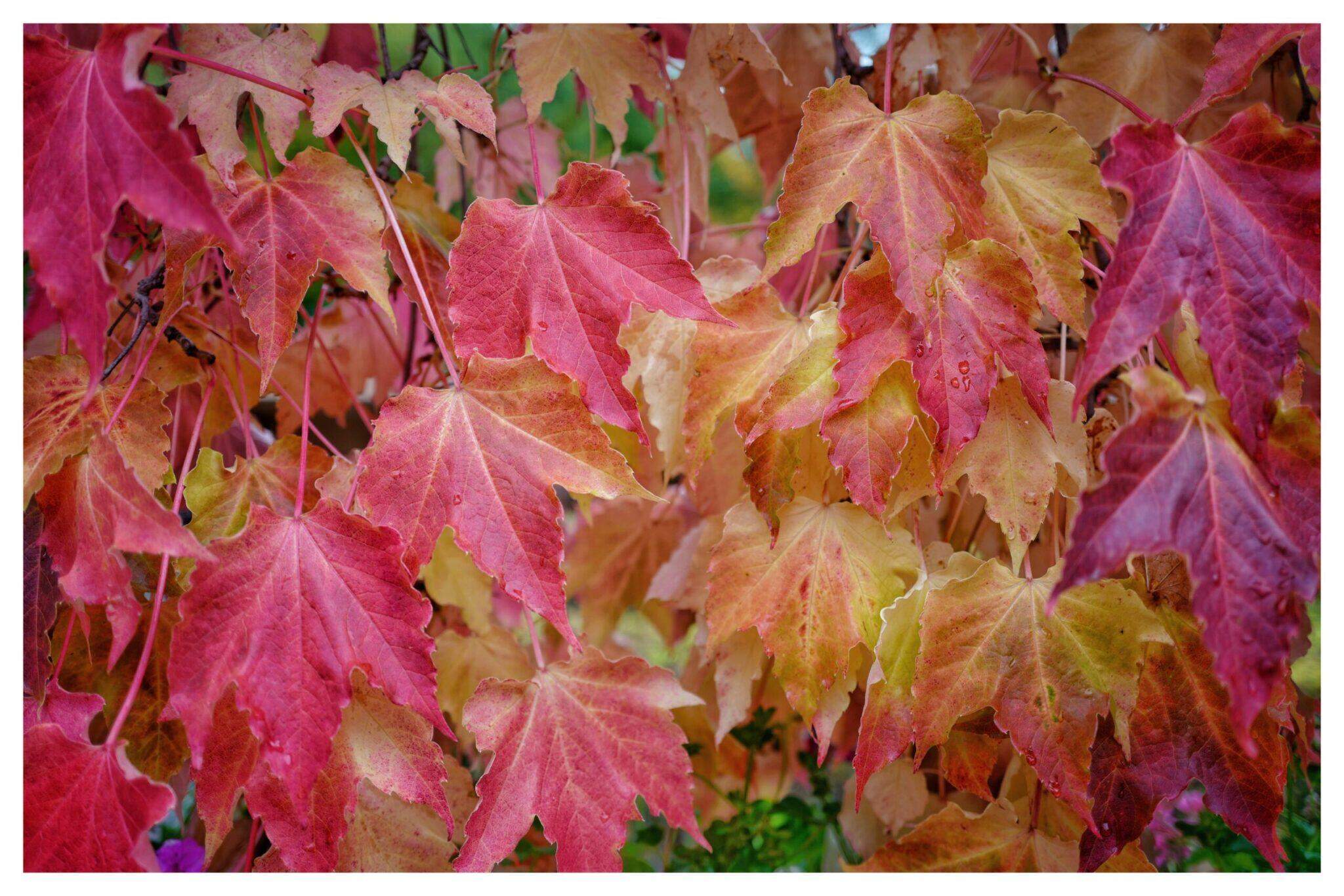 Bild ohne Beschreibung