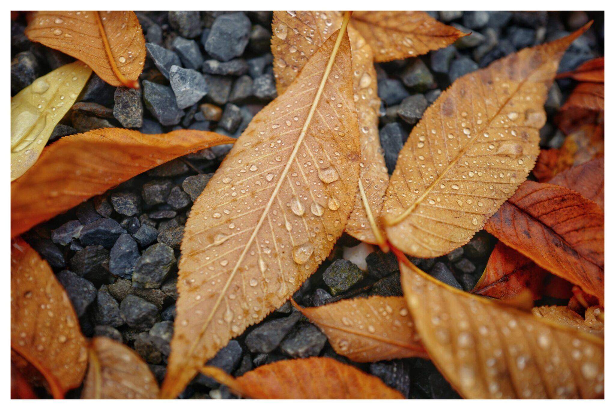 Bild ohne Beschreibung