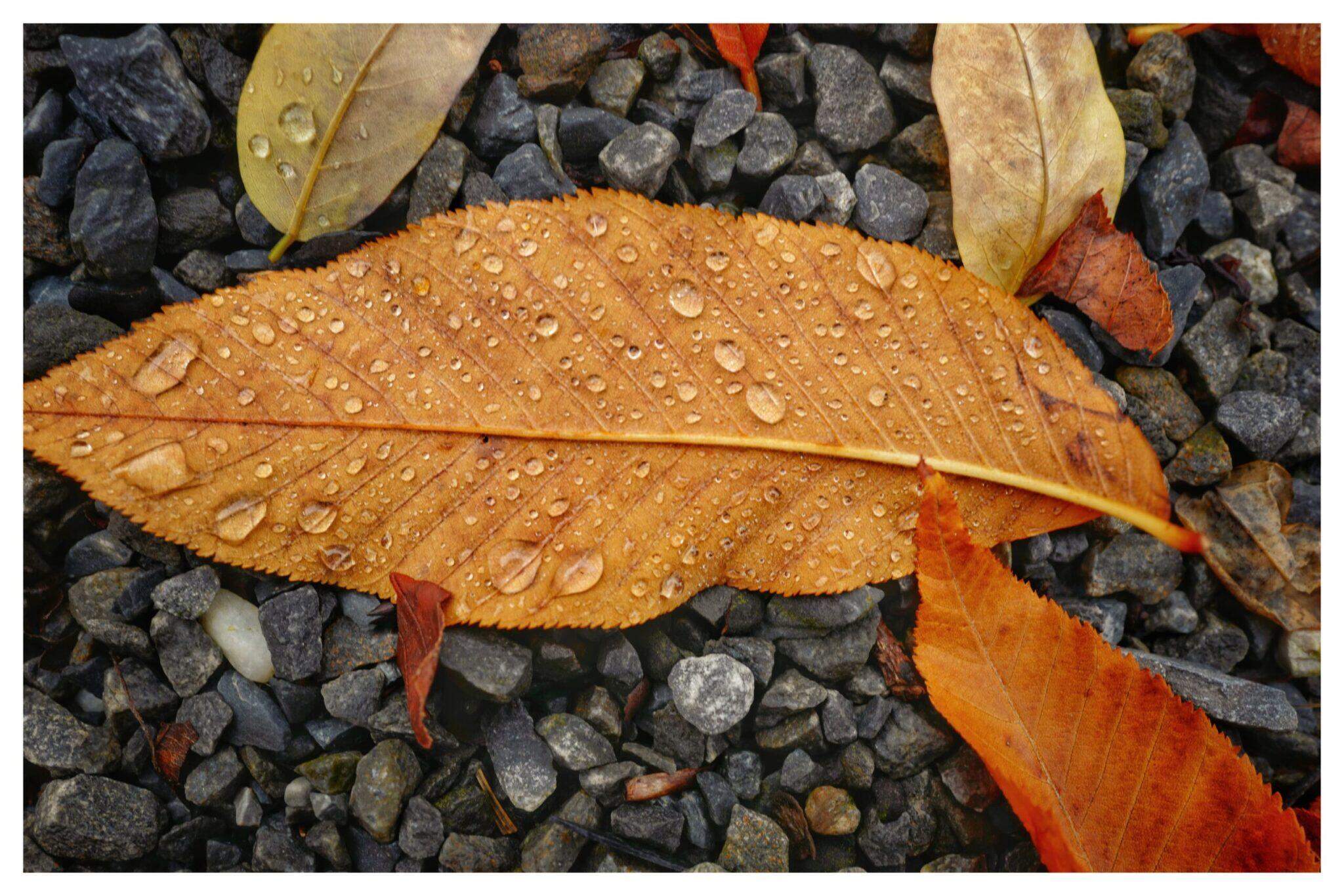 Bild ohne Beschreibung