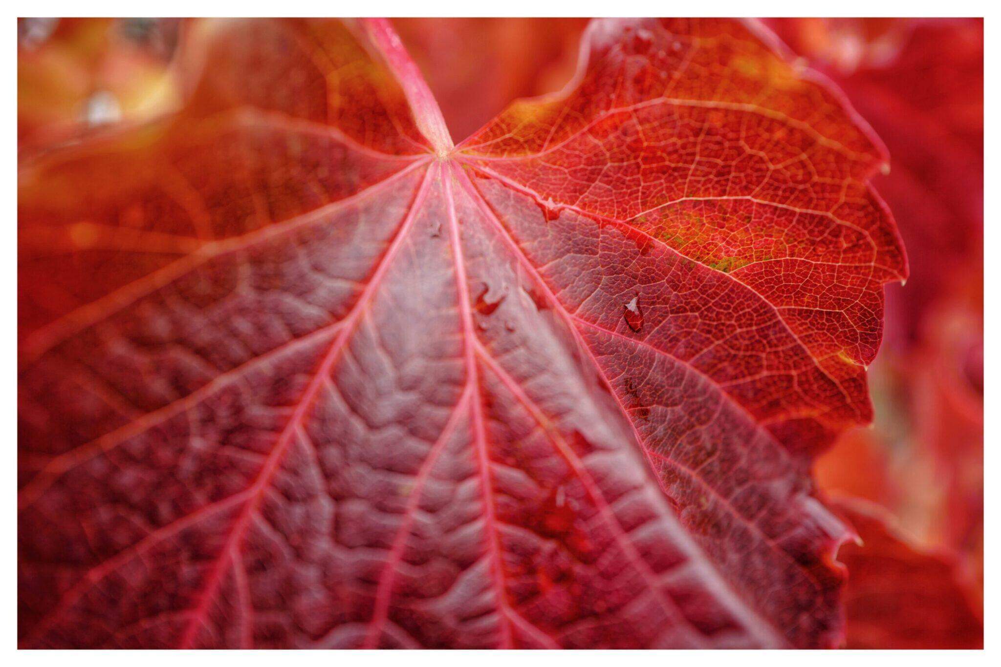 Bild ohne Beschreibung