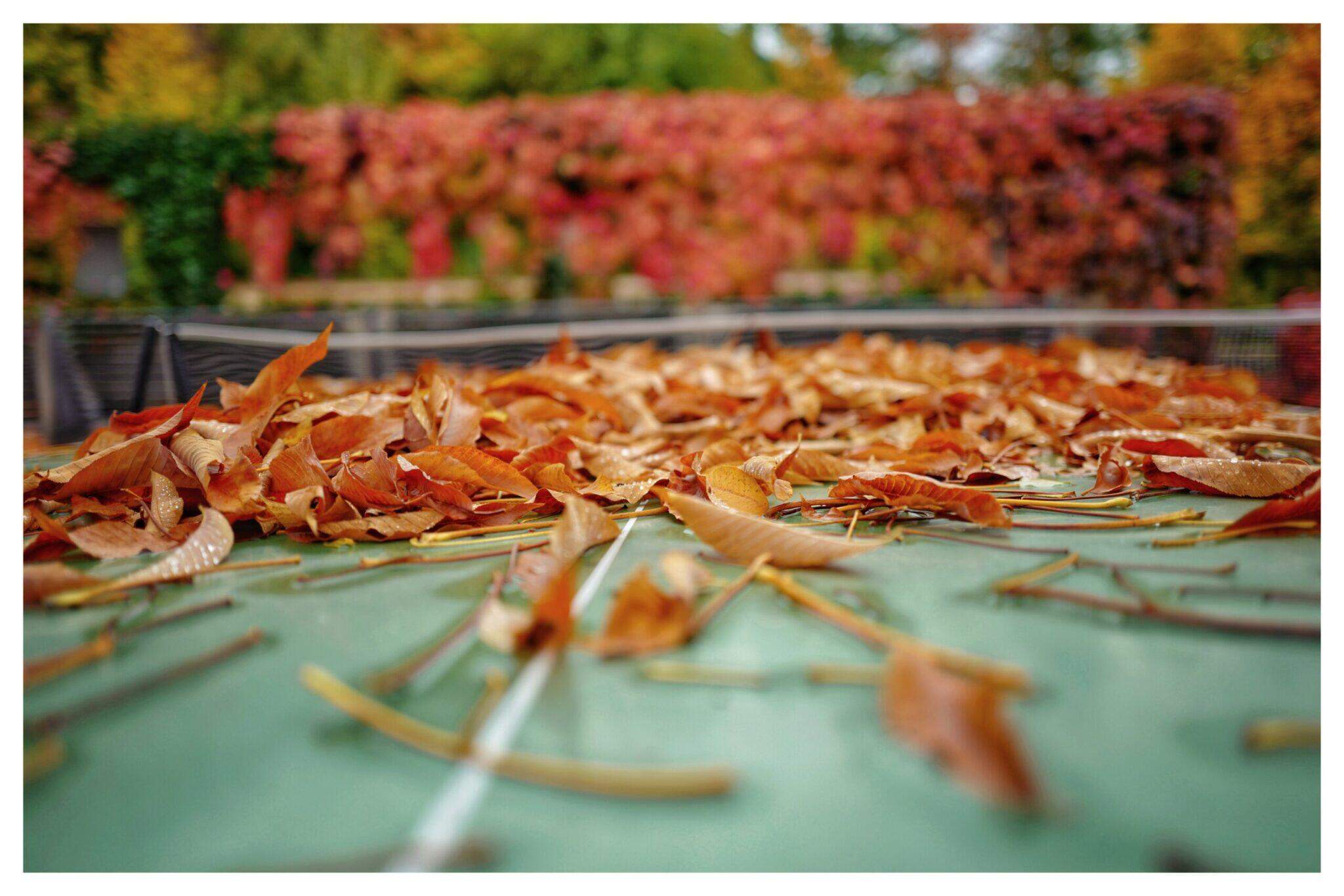 Bild ohne Beschreibung